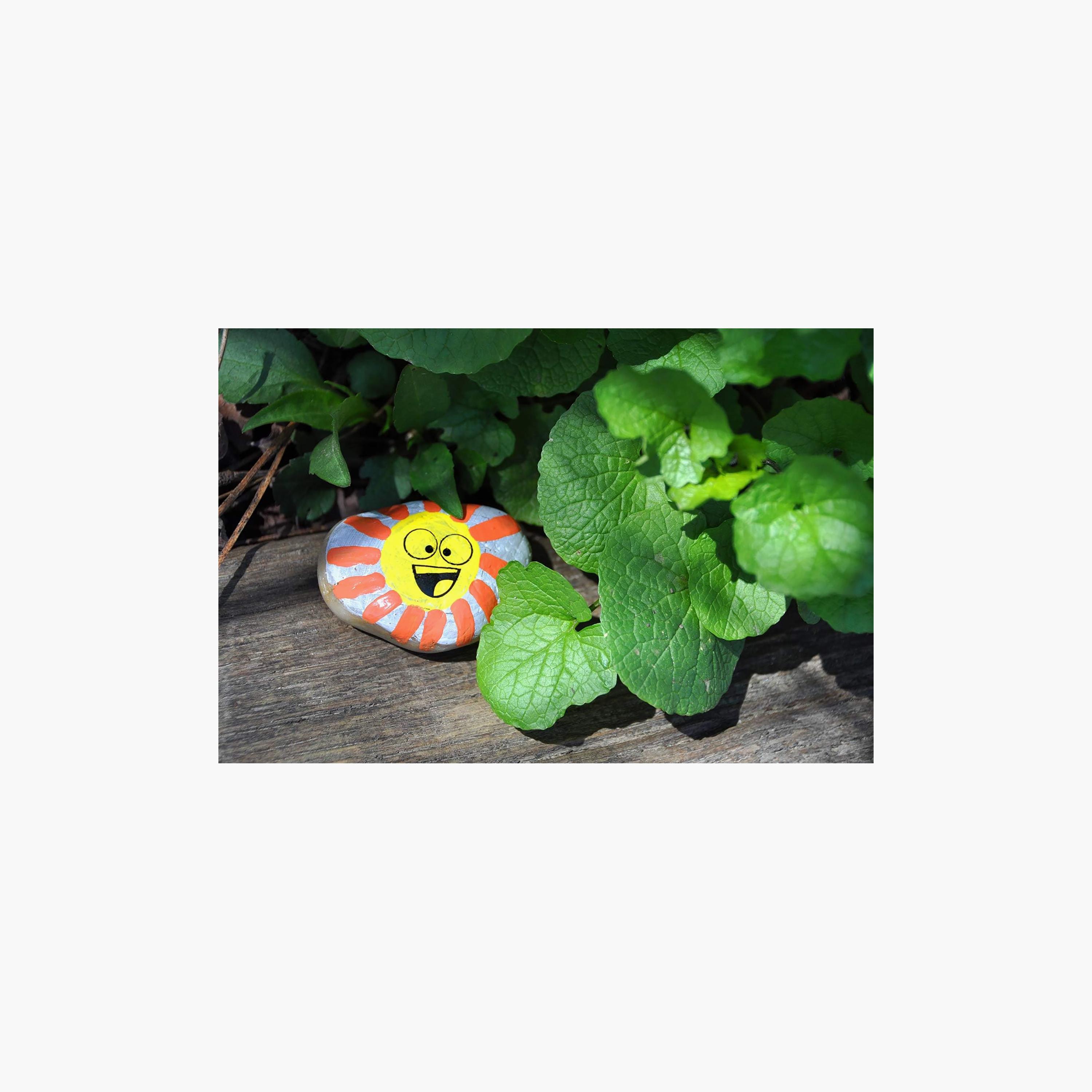 Creativity for Kids Hide and Seek Rock Painting Kit with Water Resistant Paint-school-artsandcrafts-image-2