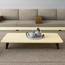 طاولة قهوة - ستايلش هوم-furniture-livingroom-coffeetables-image-5