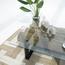 طاولة قهوة بسطح زجاجي - ريلواي لوج من آرت آند كرافت-furniture-livingroom-coffeetables-image-4