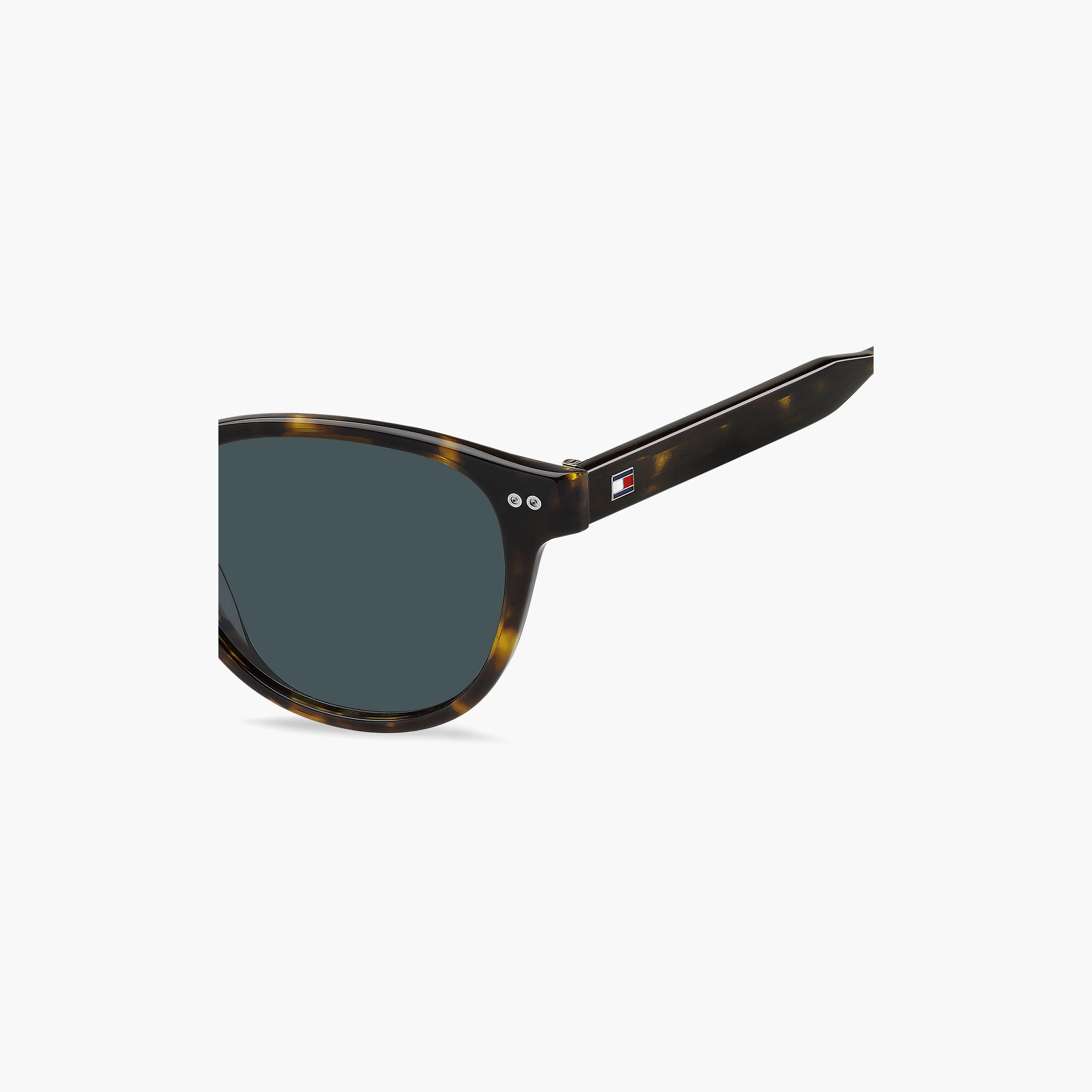Tommy Hilfiger Men Round Mirror Blue Sunglasses | TH-2186/S-086-men-sunglasses-image-4