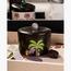 Naqaa Stoneware Date Bowl - 12 cm-household-dining-dinnerware-bowls-image-4