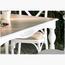 Olivia 4-Seater Dining Table-promo_HC_AE_discountpromo_20042020-image-3