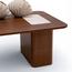 Onesto 2-Piece Coffee Table Set-promo_HC_AE_discountpromo_20042020-image-8