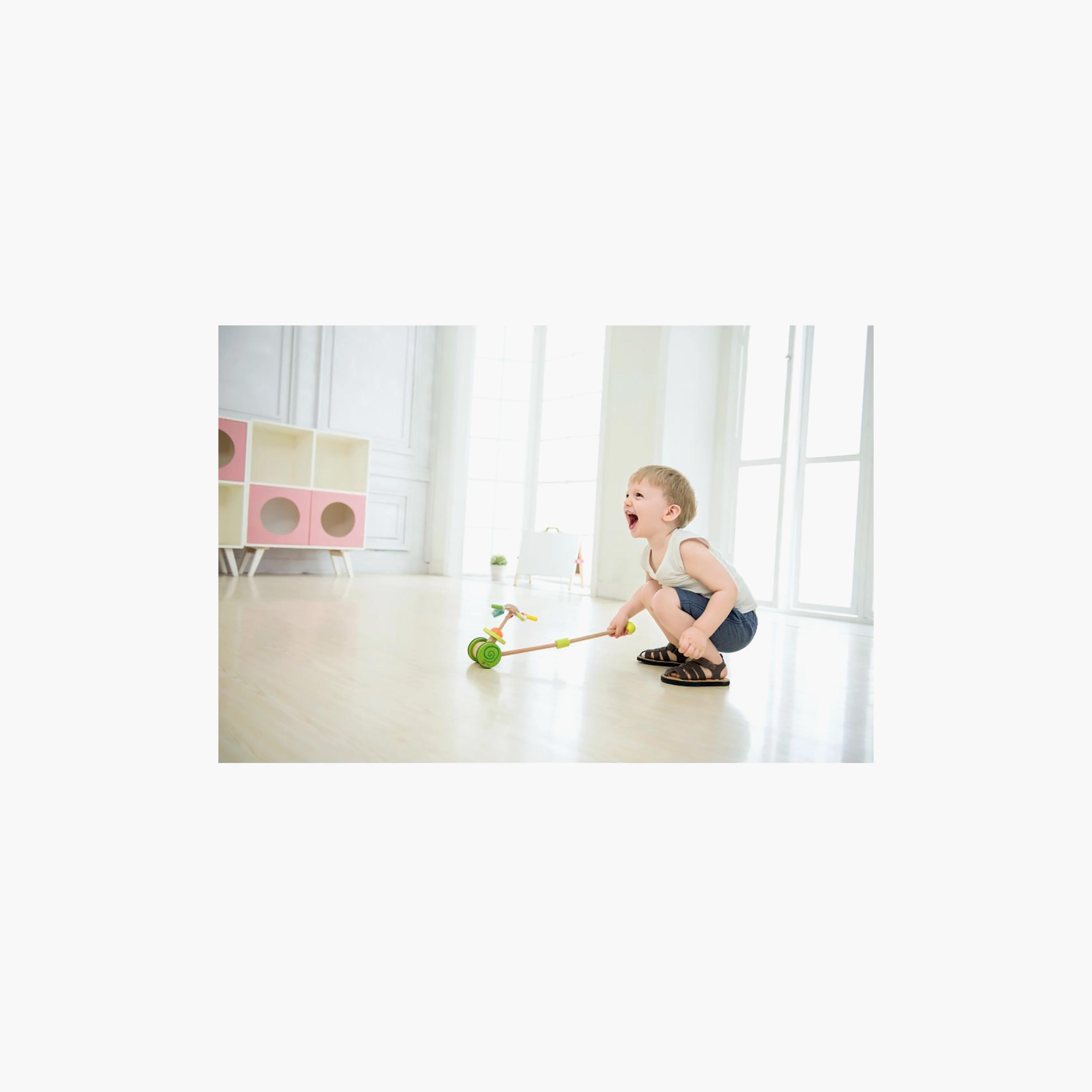 لعبة قوس قزح خشبية للدفع من كلاسيك وورلد-toys-babyandtoddlertoys-learningtoys-image-7