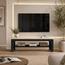 وحدة تلفزيون - السعادة هوم-furniture-livingroom-tvandmediaunits-image-2