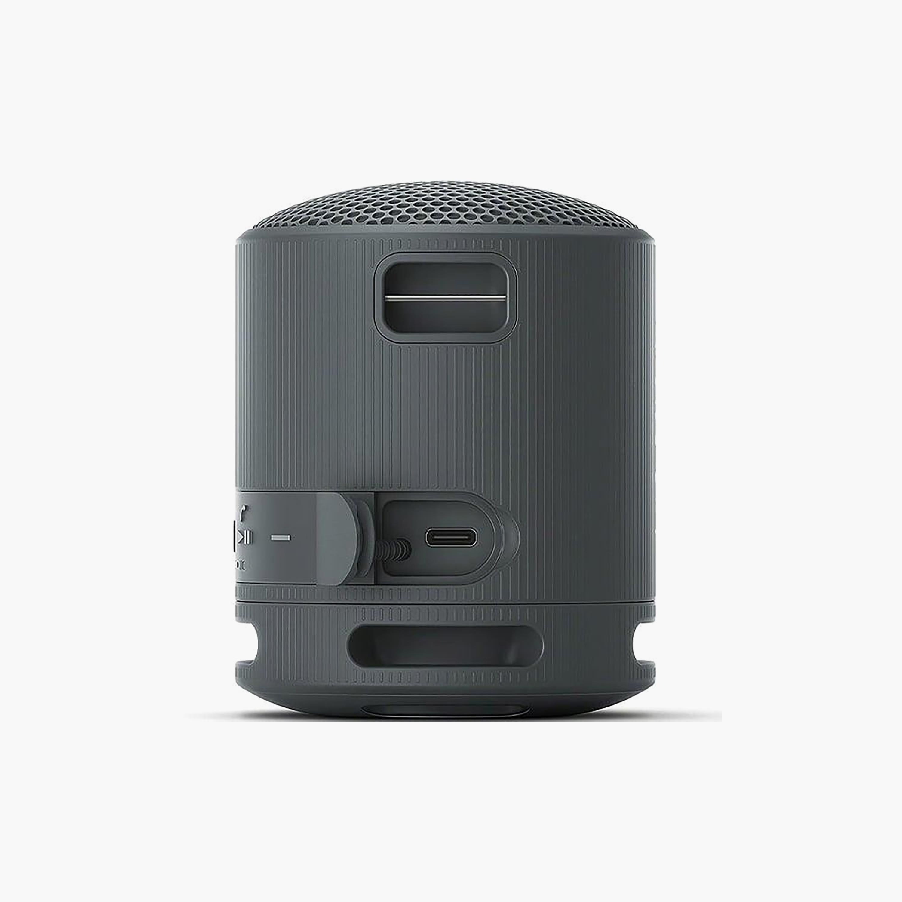 مكبر صوت بلوتوث محمول SRSXB100 من سوني-electronics-speakers-image-4