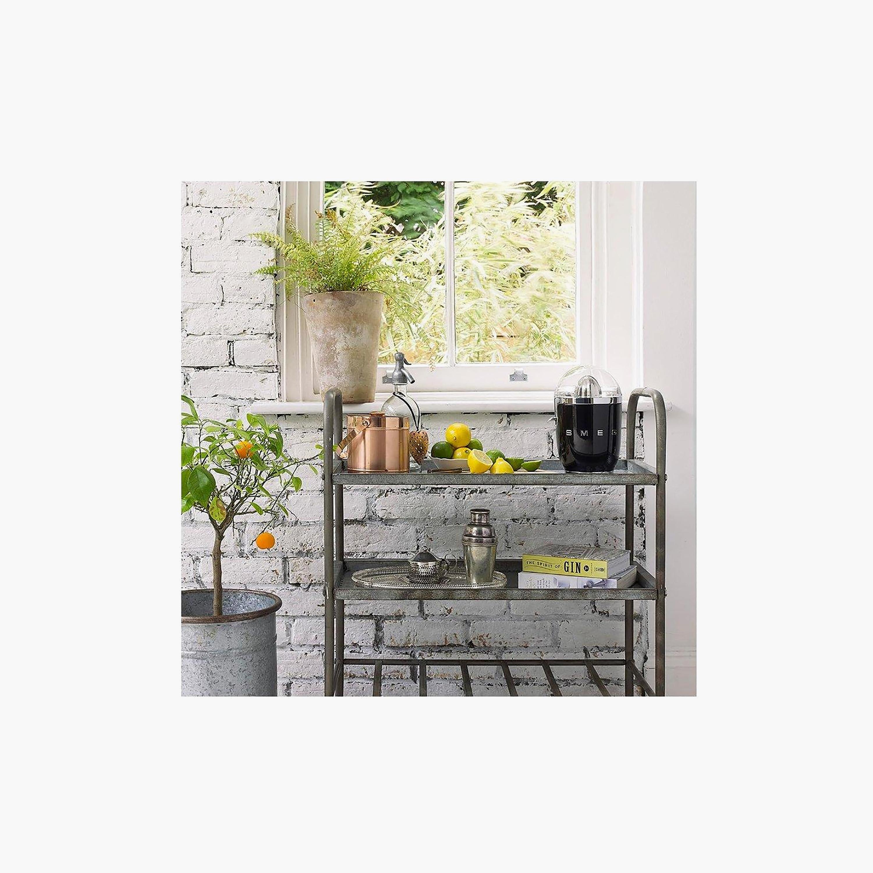 Smeg Citrus Juicer Black | CJF11BLUK-PROMO_EMAX_AE_ENBD_131026-image-4