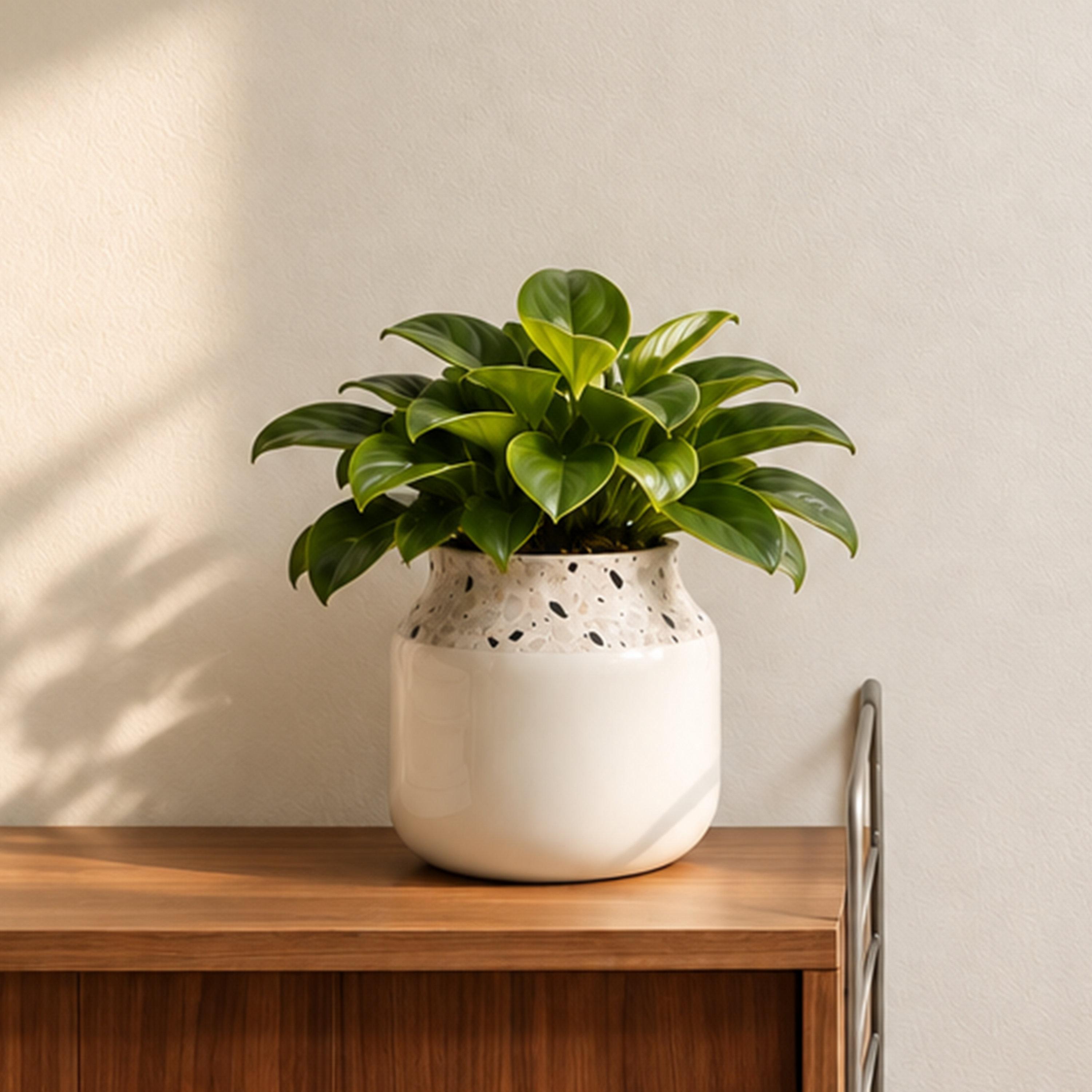 مزهرية سيراميك بنقشة تيرازو متعددة الألوان من ماريا هومز-household-decor-vasesandbowls-image-1