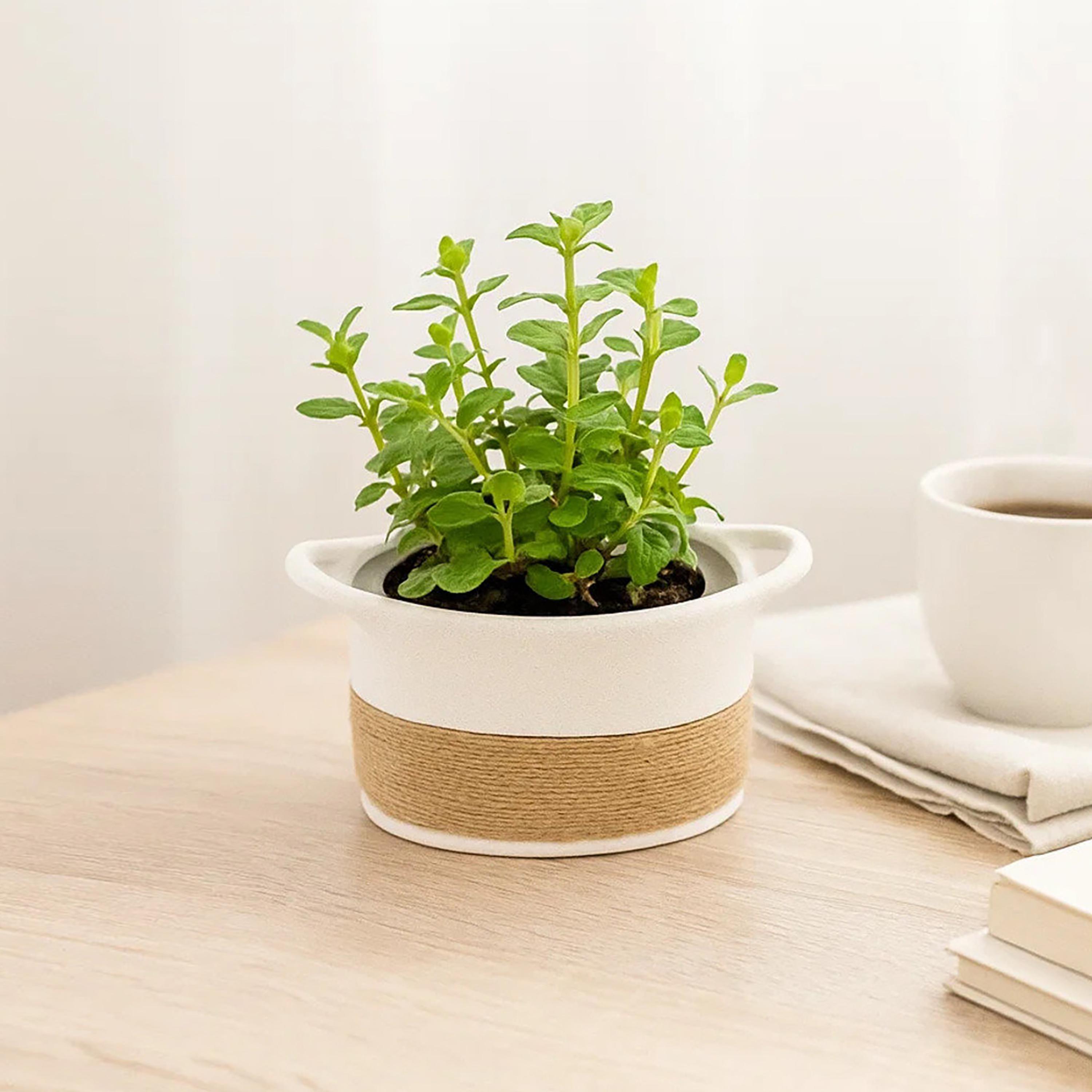 أصيص نباتات بتصميم سلة من السيراميك متعدد الألوان من ماريا هومز-household-gardenandoutdoor-potsandplanters-image-1