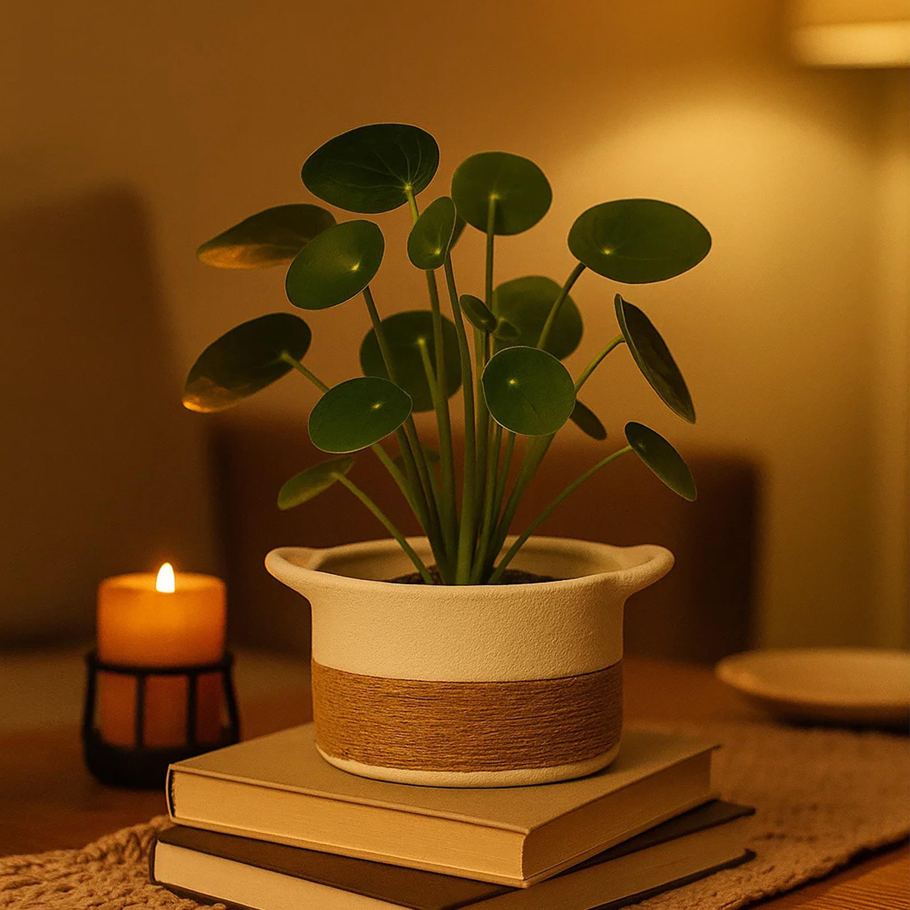 أصيص نباتات بتصميم سلة من السيراميك متعدد الألوان من ماريا هومز-household-gardenandoutdoor-potsandplanters-image-2