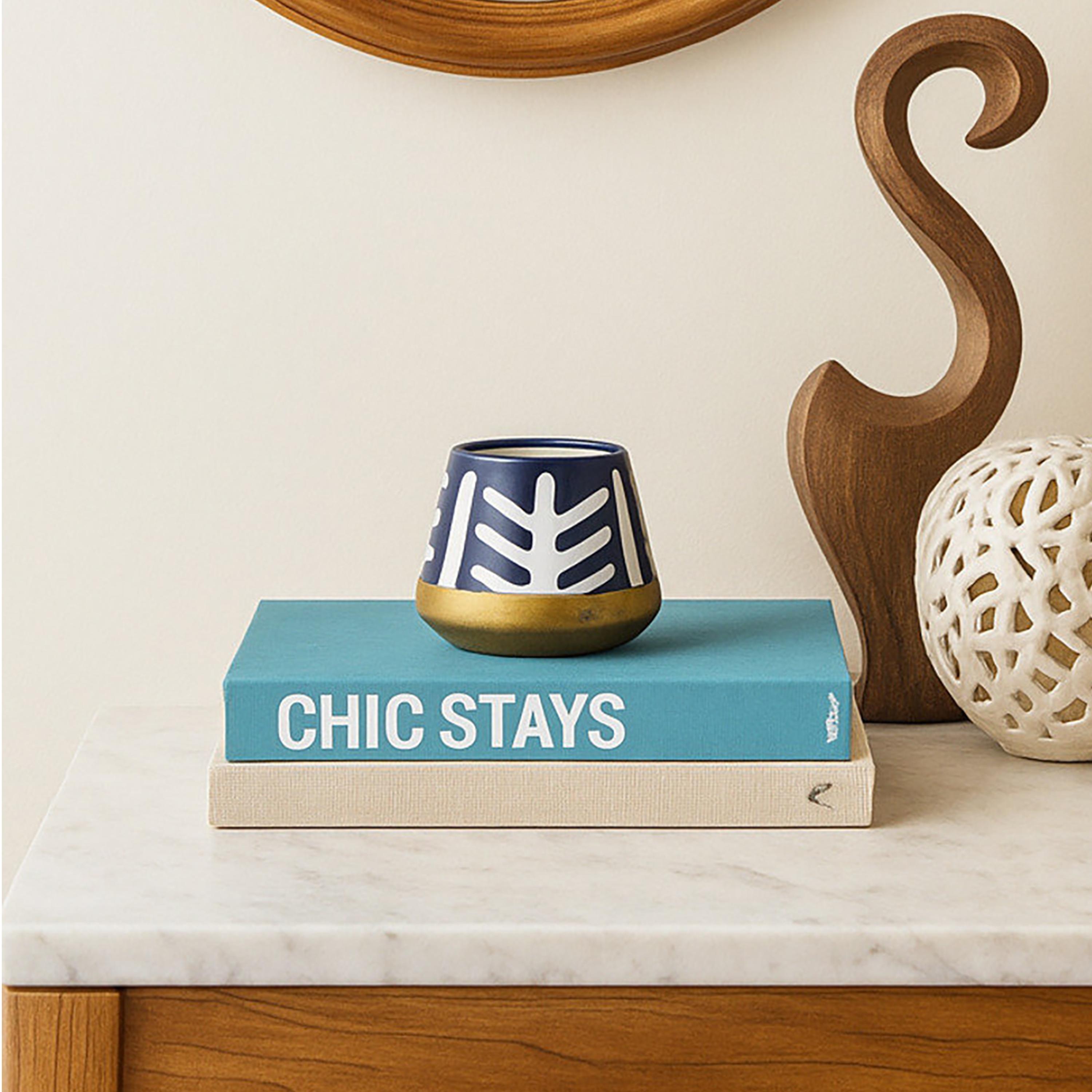 أصيص نباتات سيراميك متعدد الألوان من ماريا هومز-household-gardenandoutdoor-potsandplanters-image-3