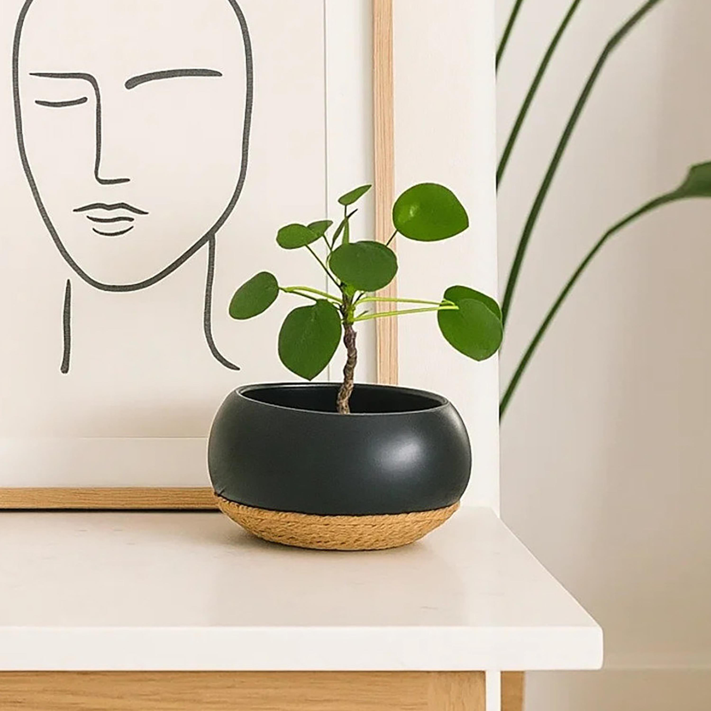 أصيص نباتات سيراميك متعدد الألوان بتفاصيل حبل من ماريا هومز-household-gardenandoutdoor-potsandplanters-image-2