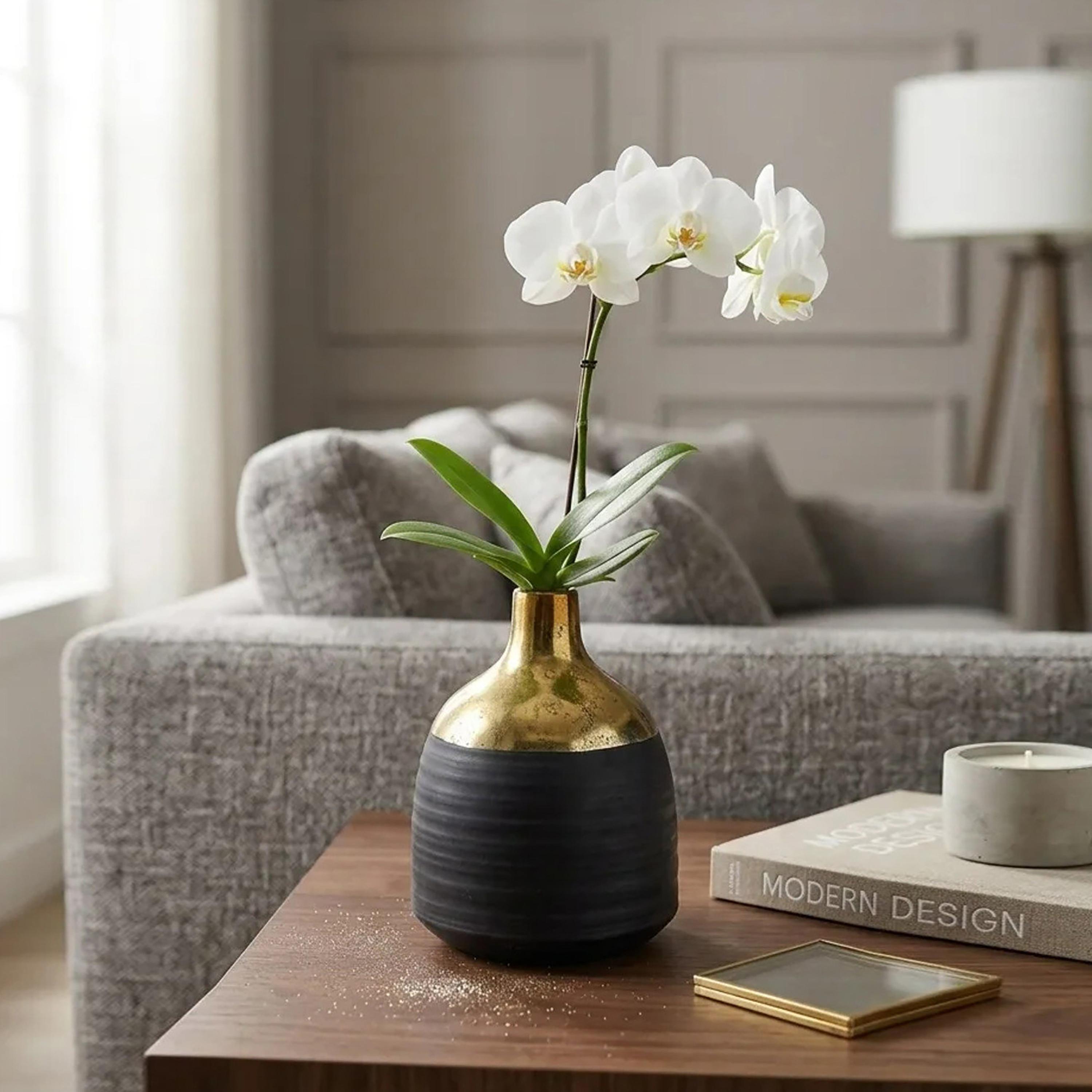 مزهرية بملمس بارز متعددة الألوان من ماريا هومز-household-decor-vasesandbowls-image-2