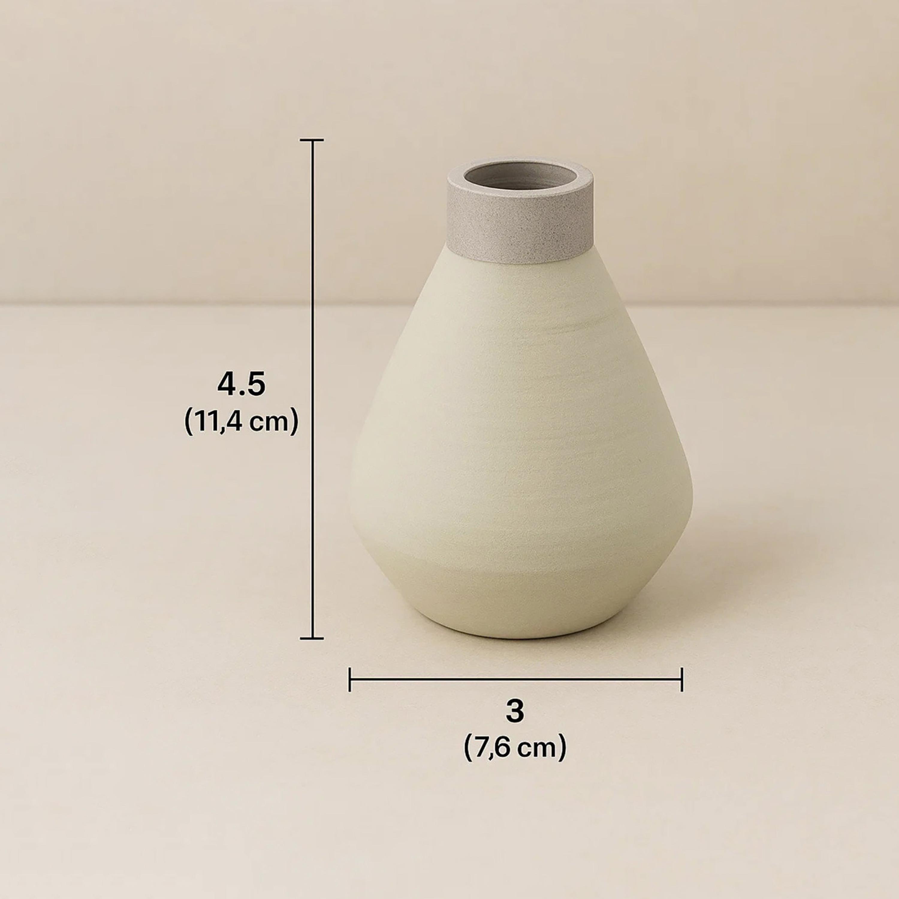مزهرية سيراميك بيج من ماريا هومز-household-decor-vasesandbowls-image-6