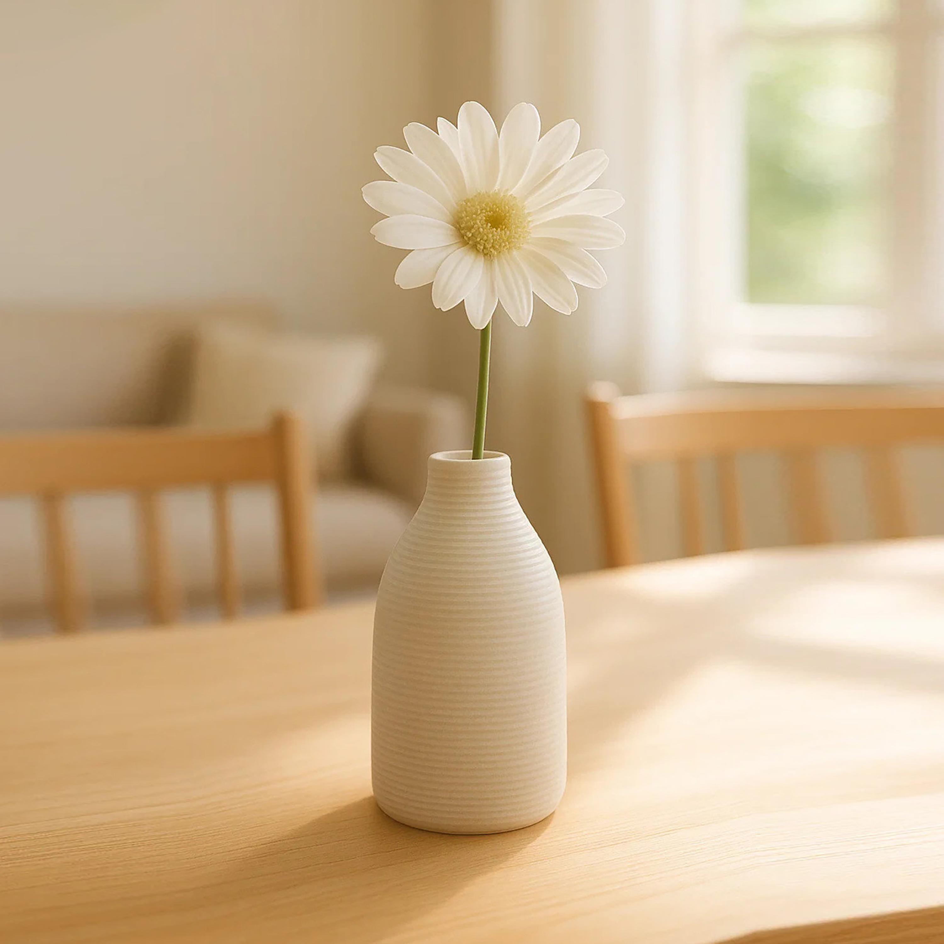 مزهرية سيراميك من ماريا هومز-household-decor-vasesandbowls-image-3