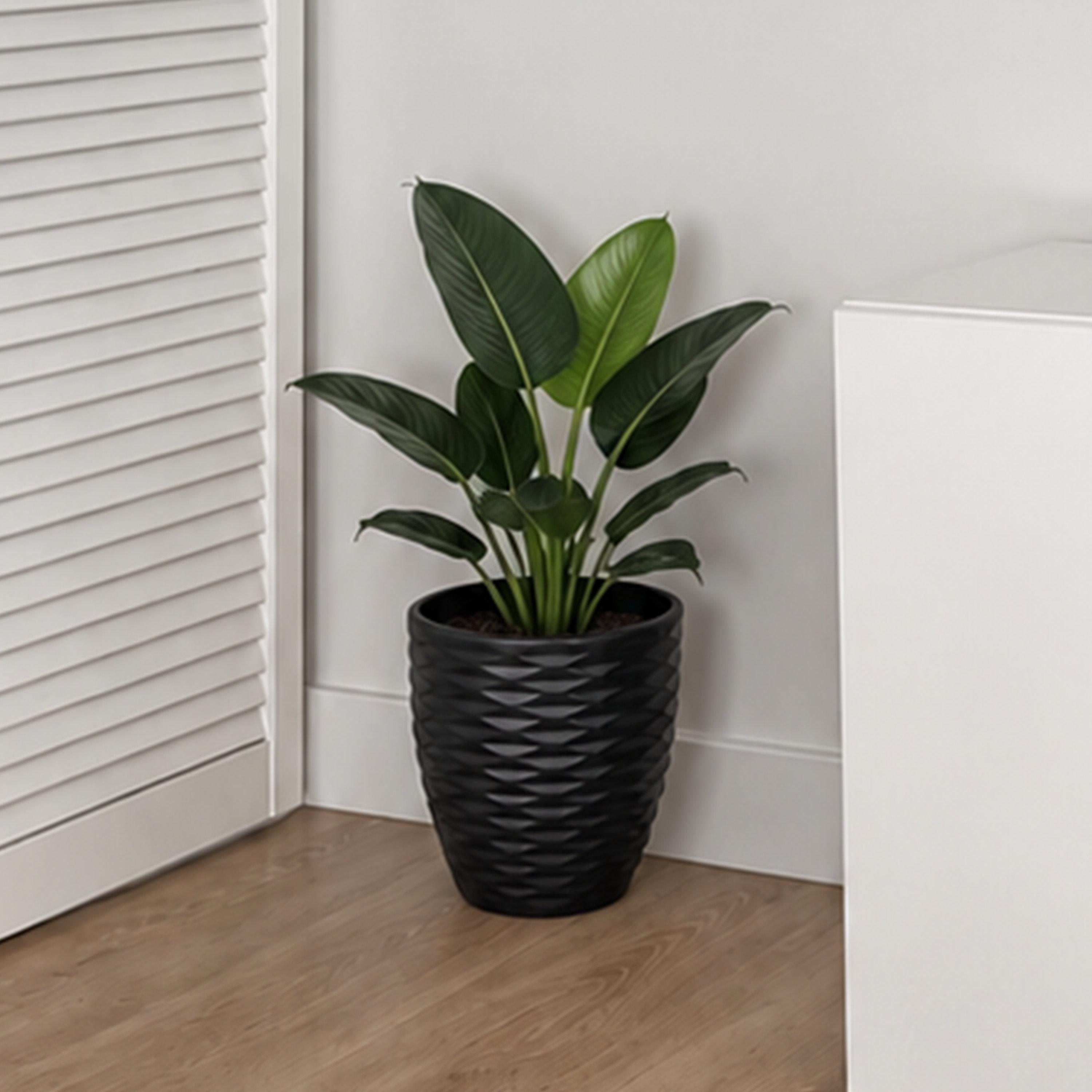 أصيص نباتات بملمس من الألياف من ماريا هومز-household-gardenandoutdoor-potsandplanters-image-1