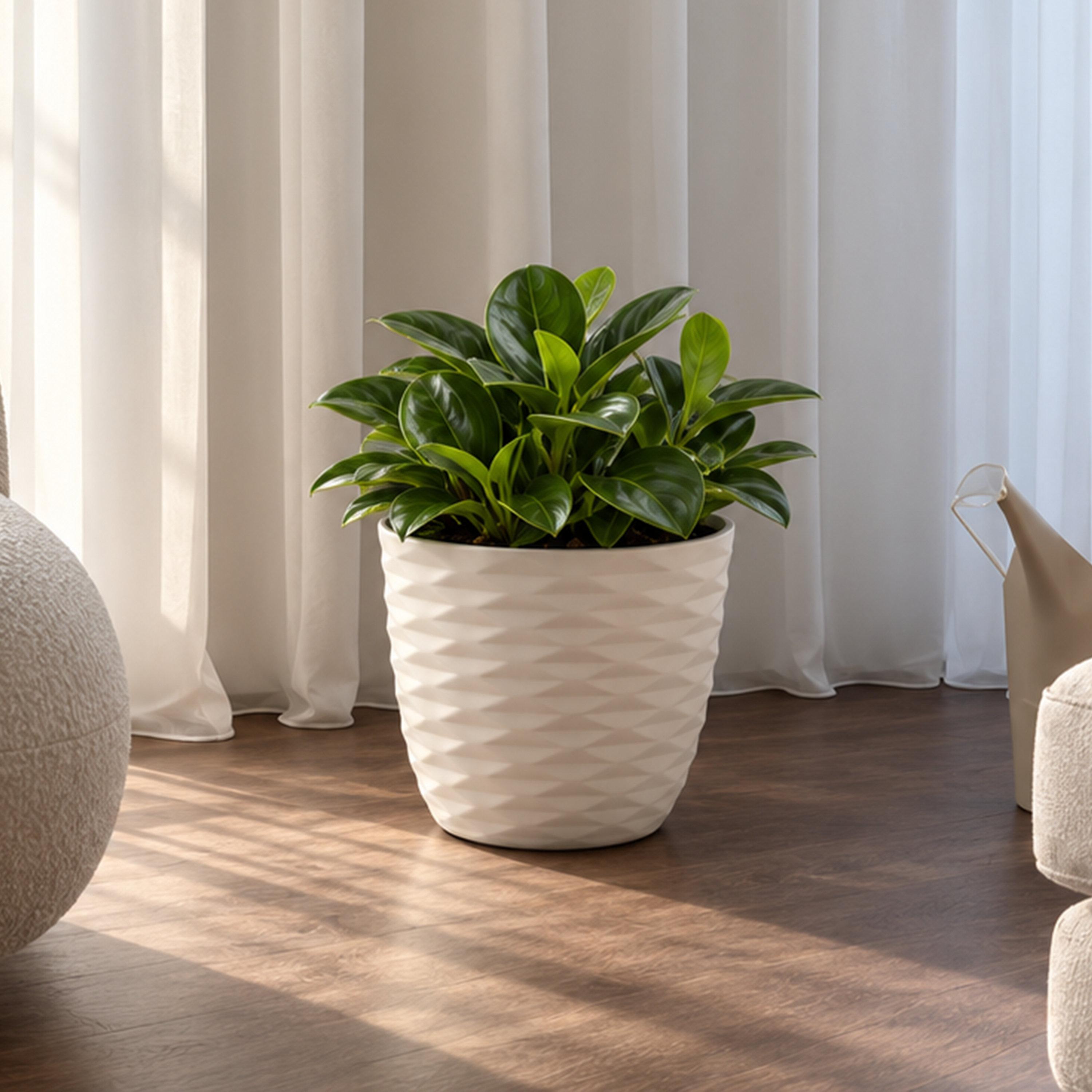 أصيص نباتات بملمس من الألياف من ماريا هومز-household-gardenandoutdoor-potsandplanters-image-1