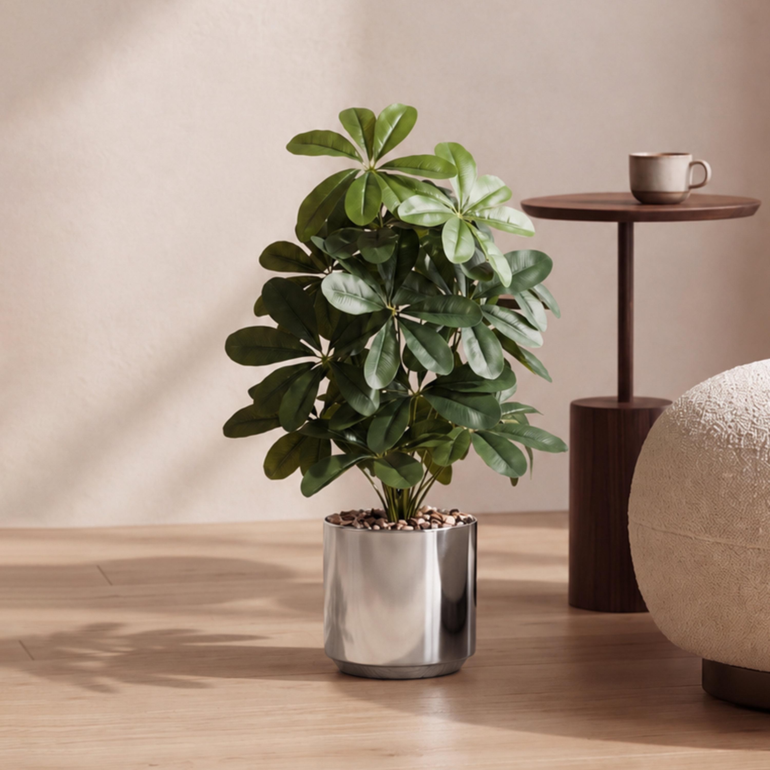 نبتة شيفليرا صناعية بأصيص من ماريا هومز-household-gardenandoutdoor-artificialflowersandplants-flowers-image-1
