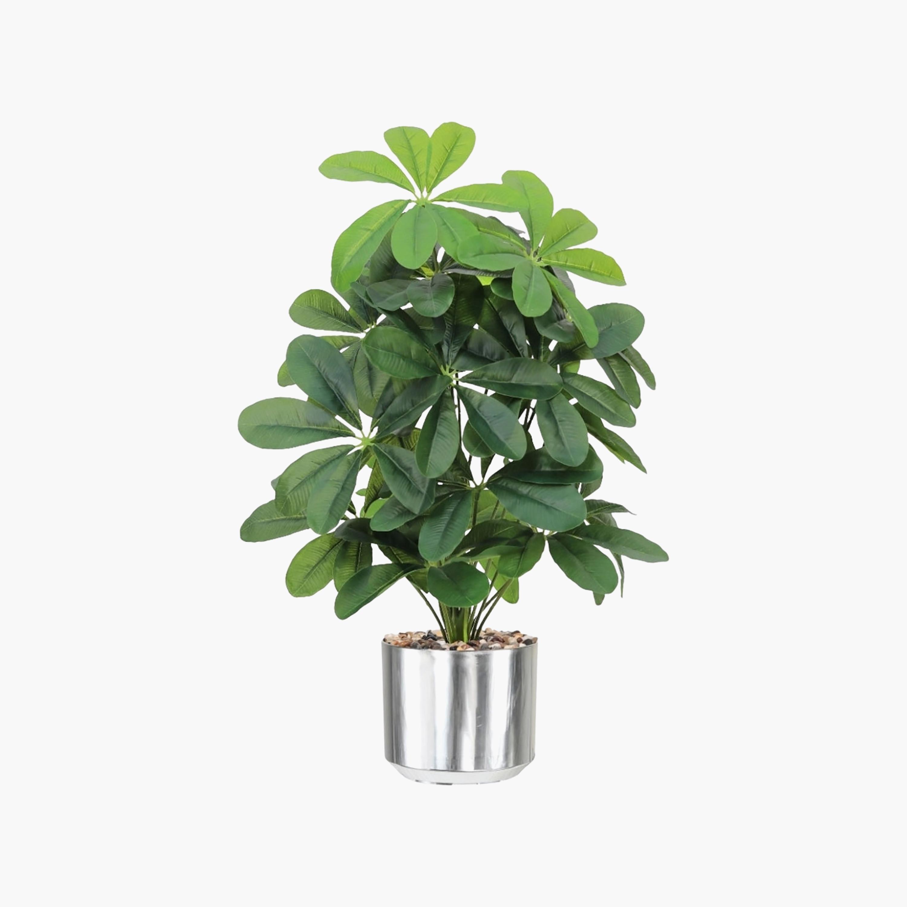 نبتة شيفليرا صناعية بأصيص من ماريا هومز-household-gardenandoutdoor-artificialflowersandplants-flowers-image-2