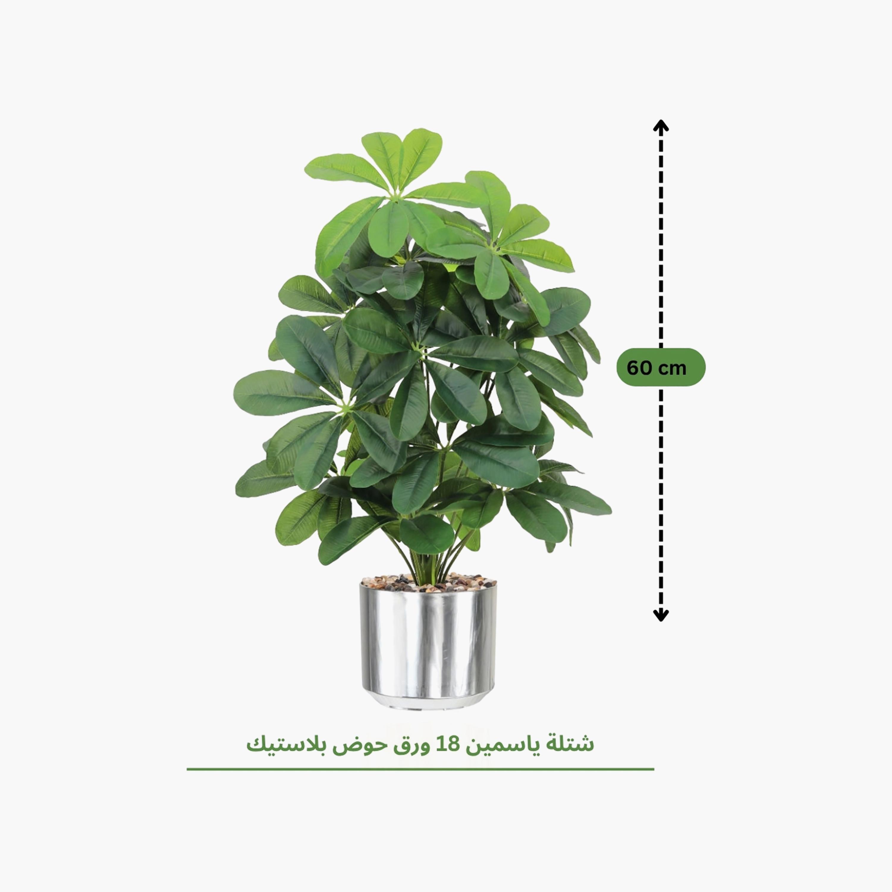 نبتة شيفليرا صناعية بأصيص من ماريا هومز-household-gardenandoutdoor-artificialflowersandplants-flowers-image-4