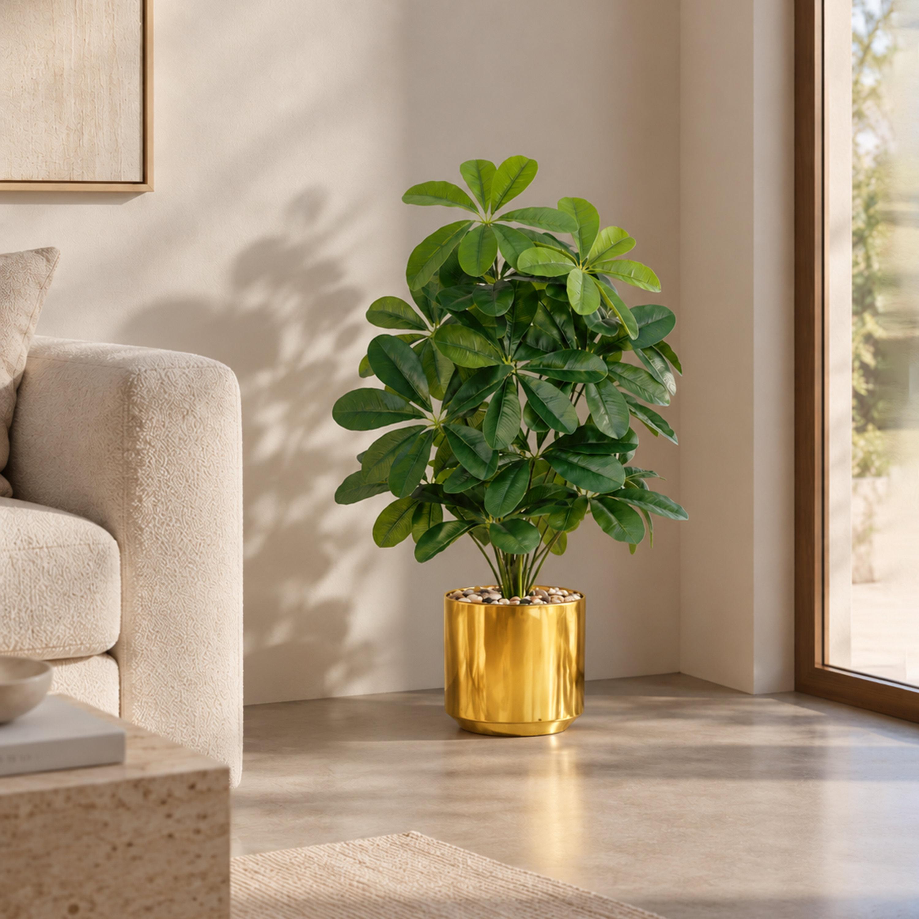 نبتة شيفليرا صناعية بأصيص من ماريا هومز-household-gardenandoutdoor-artificialflowersandplants-flowers-image-1