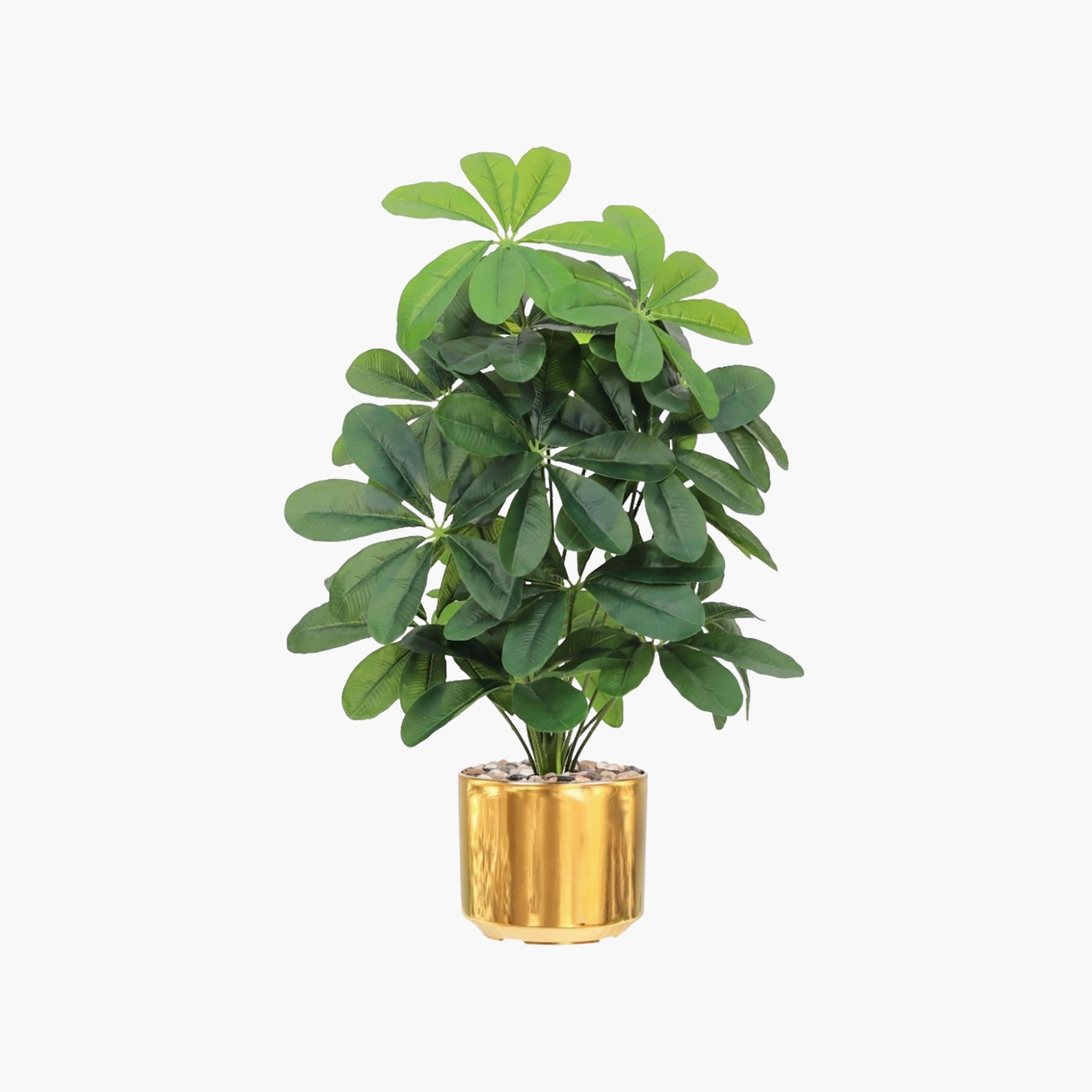 نبتة شيفليرا صناعية بأصيص من ماريا هومز-household-gardenandoutdoor-artificialflowersandplants-flowers-image-2