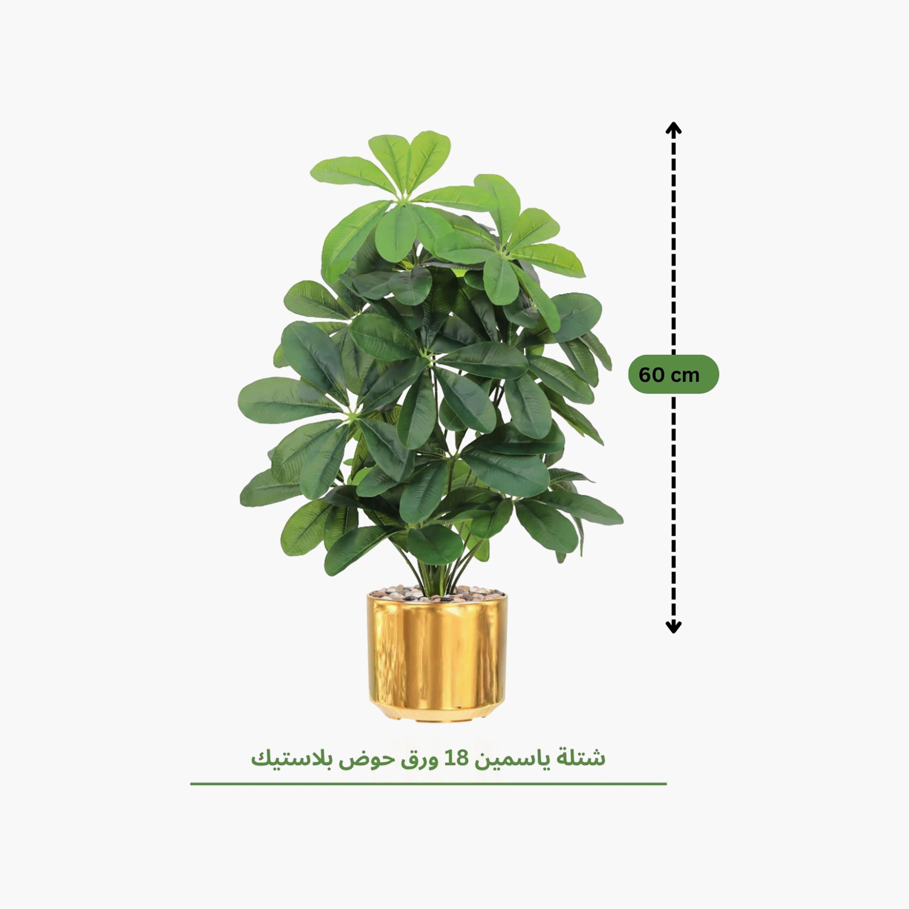 نبتة شيفليرا صناعية بأصيص من ماريا هومز-household-gardenandoutdoor-artificialflowersandplants-flowers-image-4
