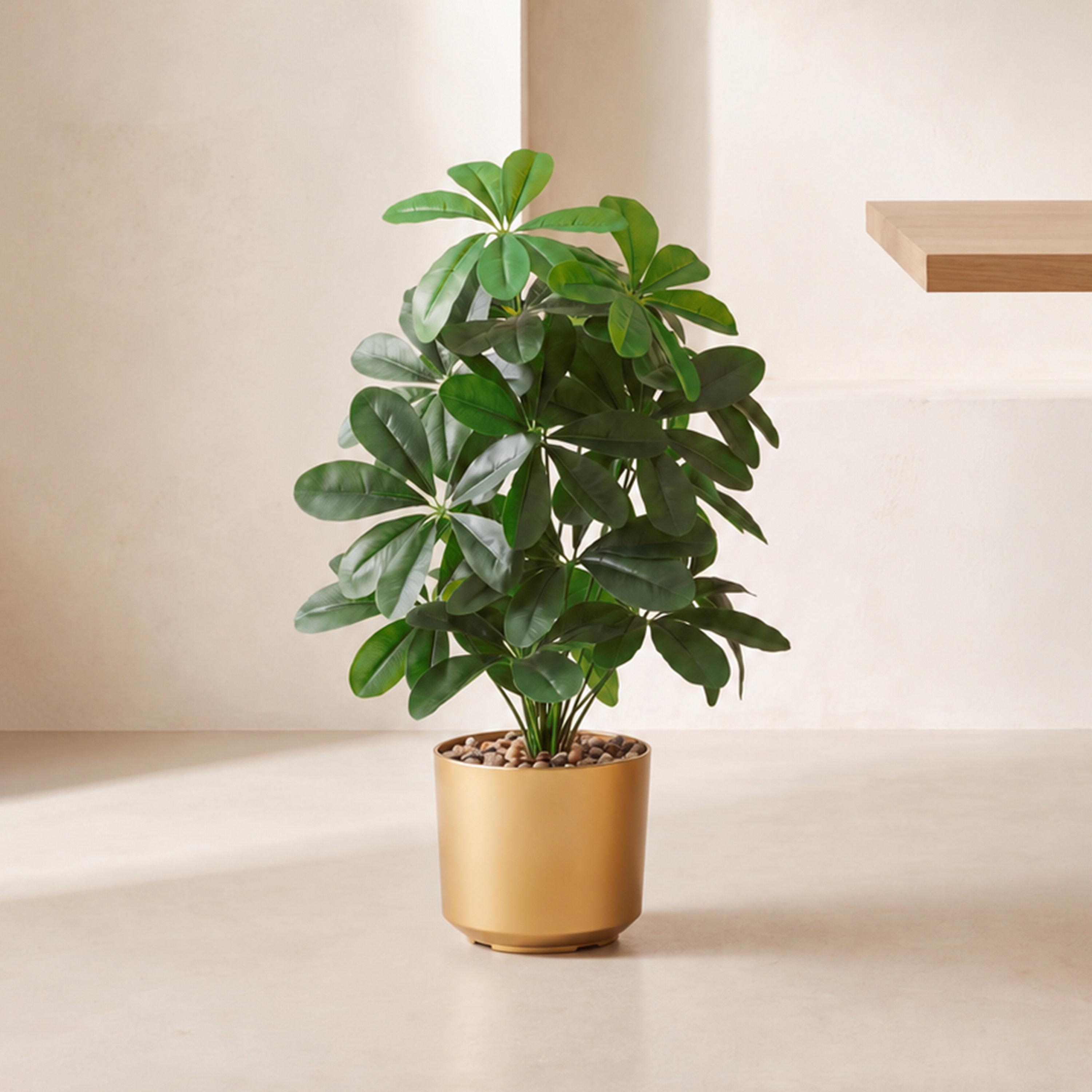 نبتة شيفليرا صناعية بأصيص من ماريا هومز-household-gardenandoutdoor-artificialflowersandplants-flowers-image-1