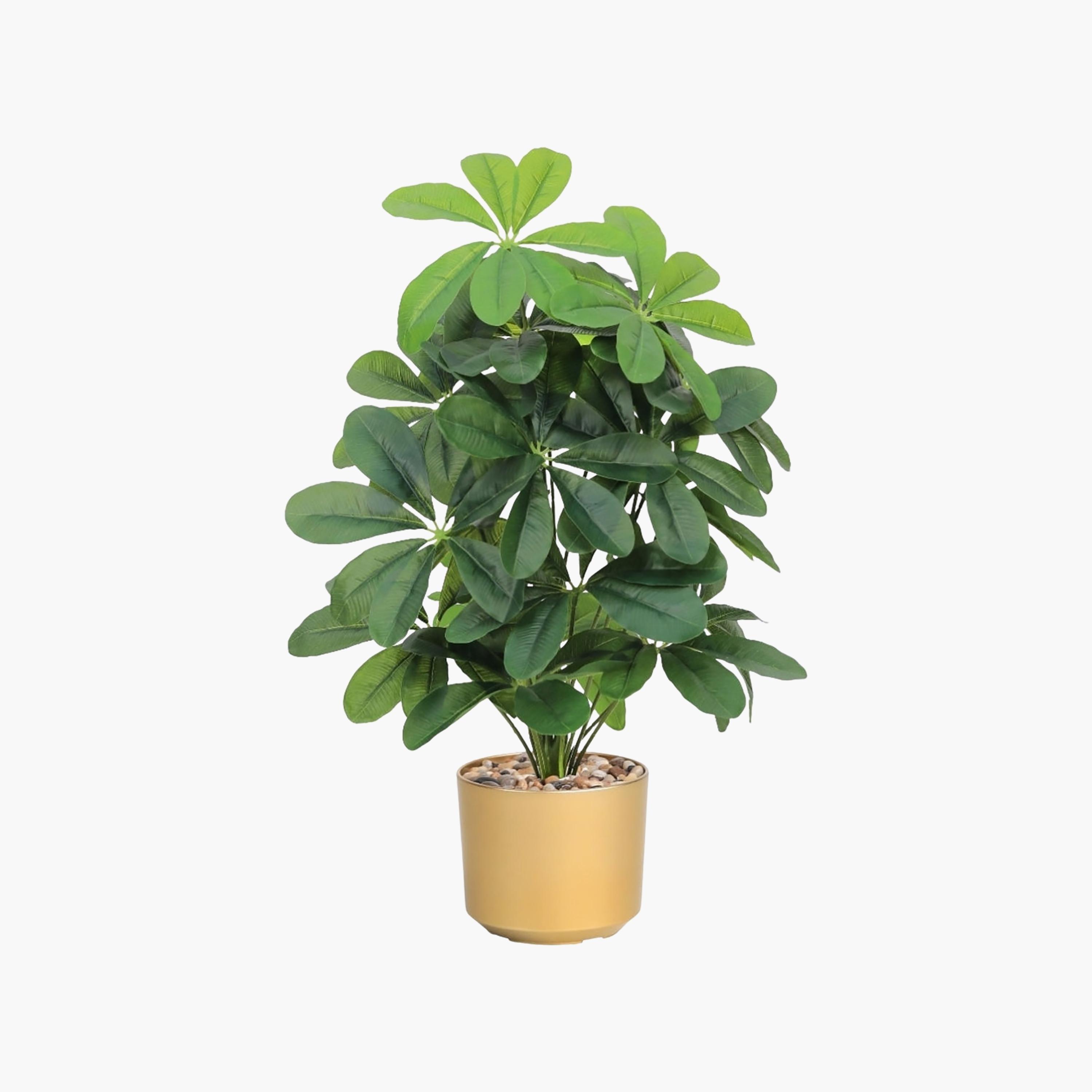 نبتة شيفليرا صناعية بأصيص من ماريا هومز-household-gardenandoutdoor-artificialflowersandplants-flowers-image-2