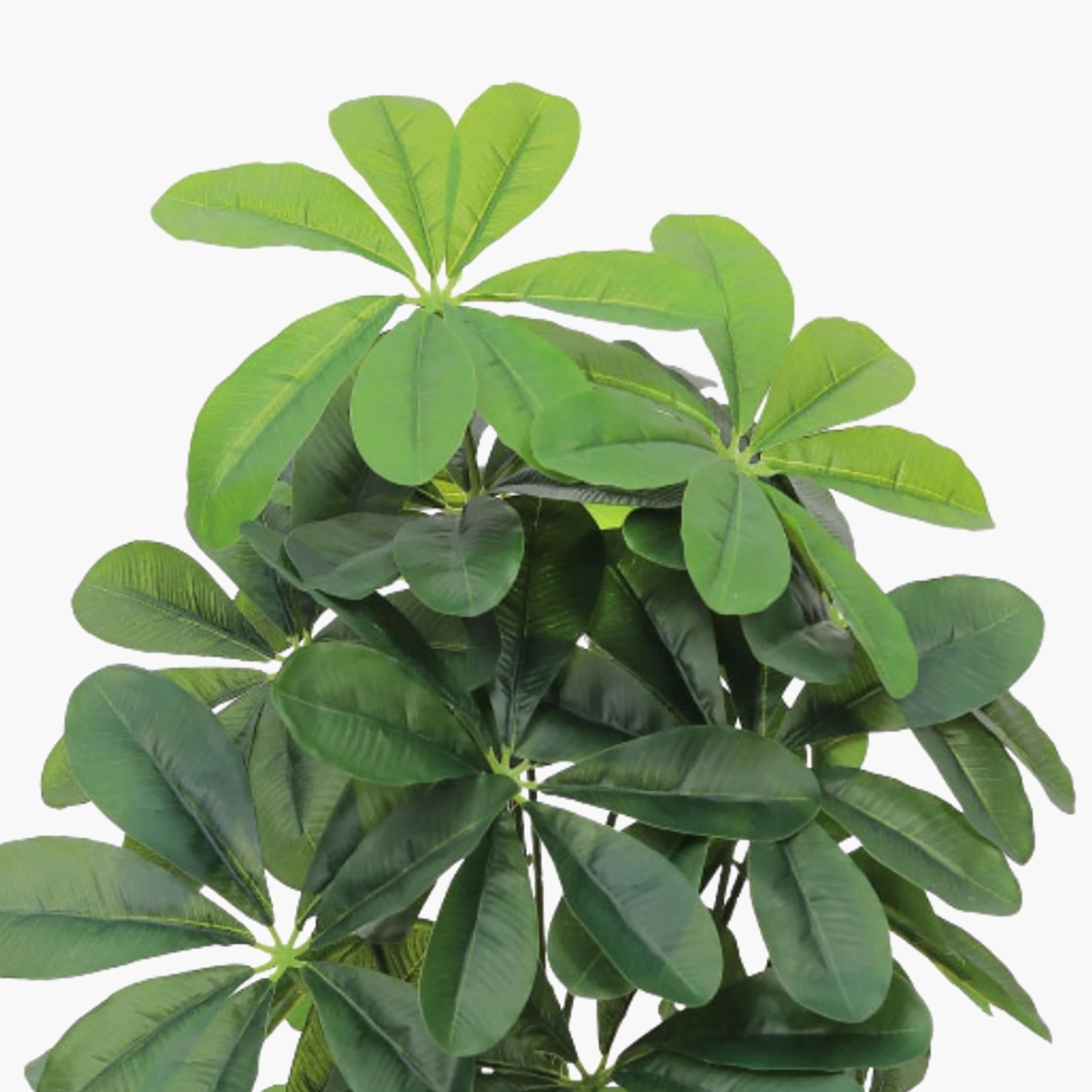 نبتة شيفليرا صناعية بأصيص من ماريا هومز-household-gardenandoutdoor-artificialflowersandplants-flowers-image-3