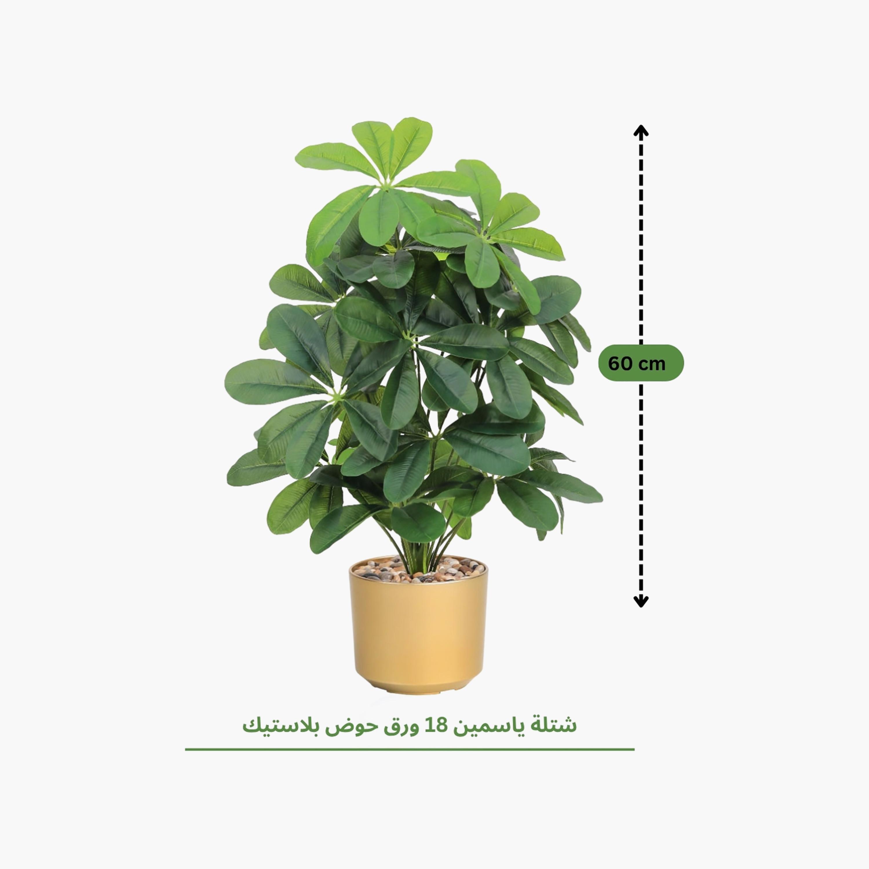 نبتة شيفليرا صناعية بأصيص من ماريا هومز-household-gardenandoutdoor-artificialflowersandplants-flowers-image-4