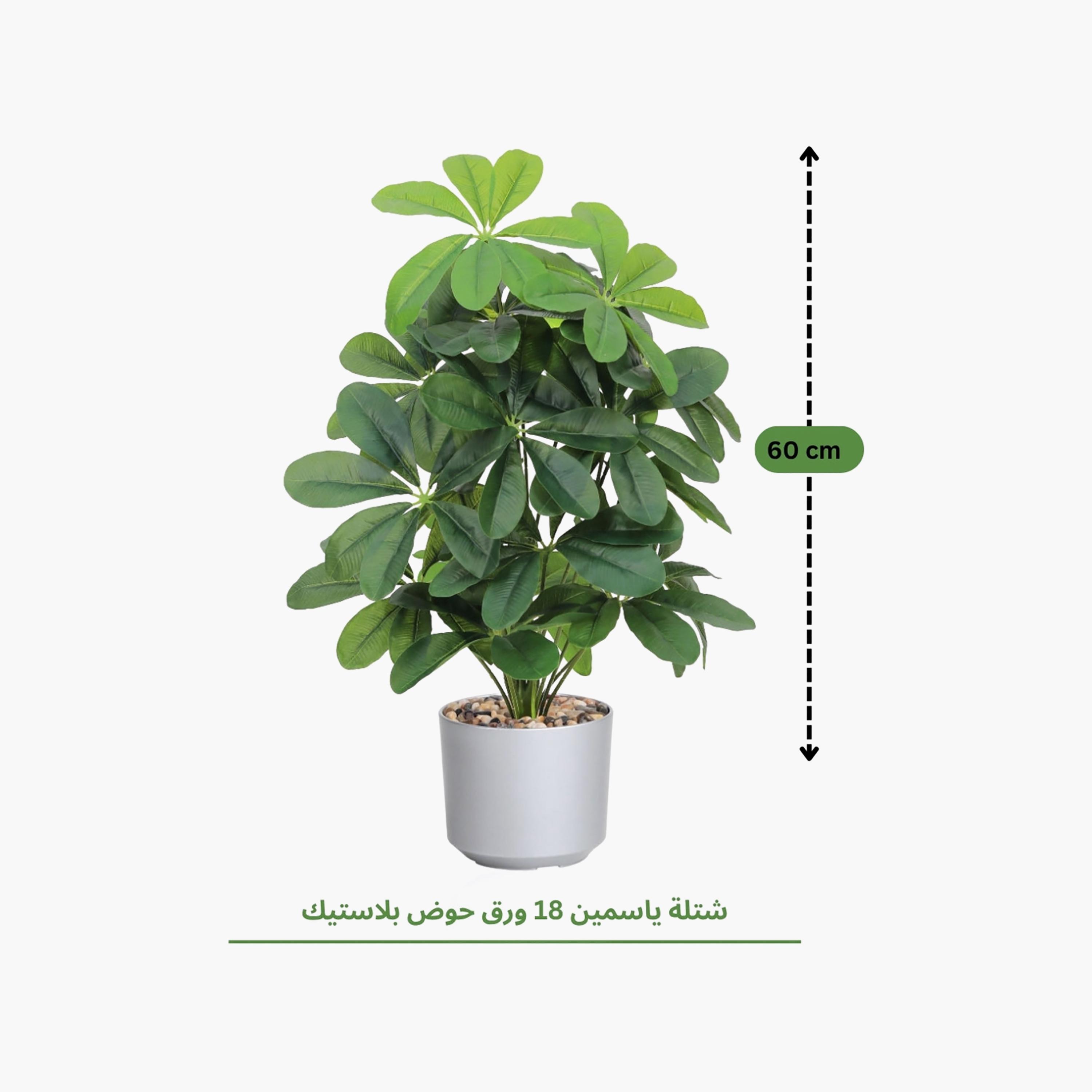 نبتة شيفليرا صناعية بأصيص من ماريا هومز-household-gardenandoutdoor-artificialflowersandplants-flowers-image-4