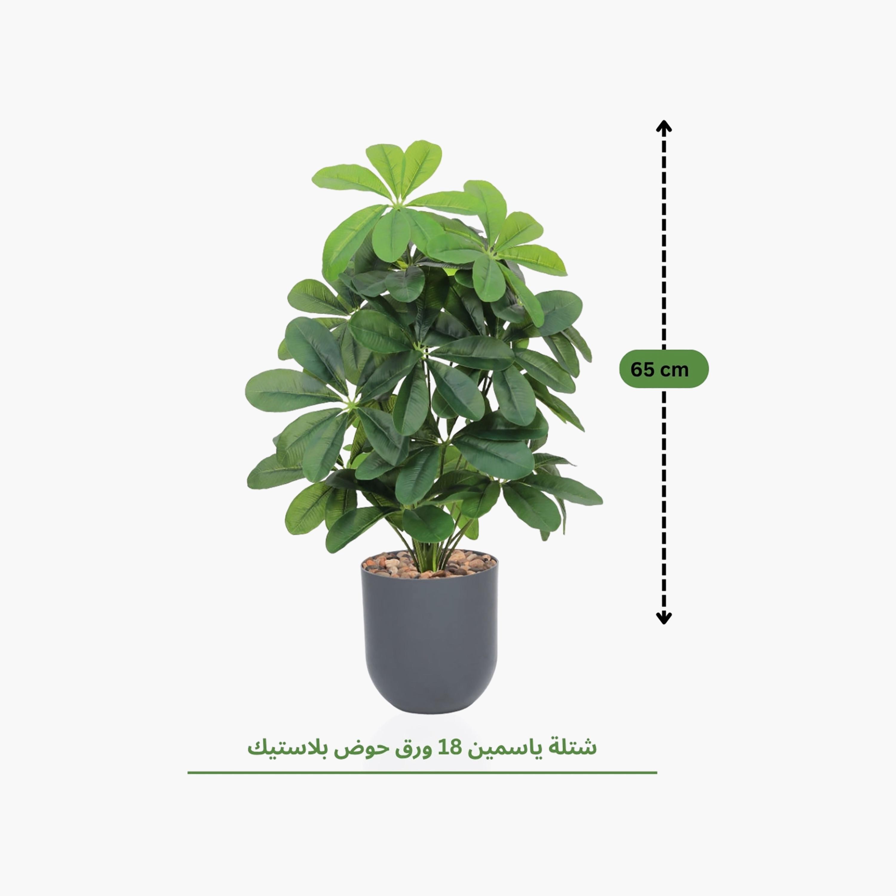 نبتة شيفليرا صناعية بأصيص من ماريا هومز-household-gardenandoutdoor-artificialflowersandplants-flowers-image-4