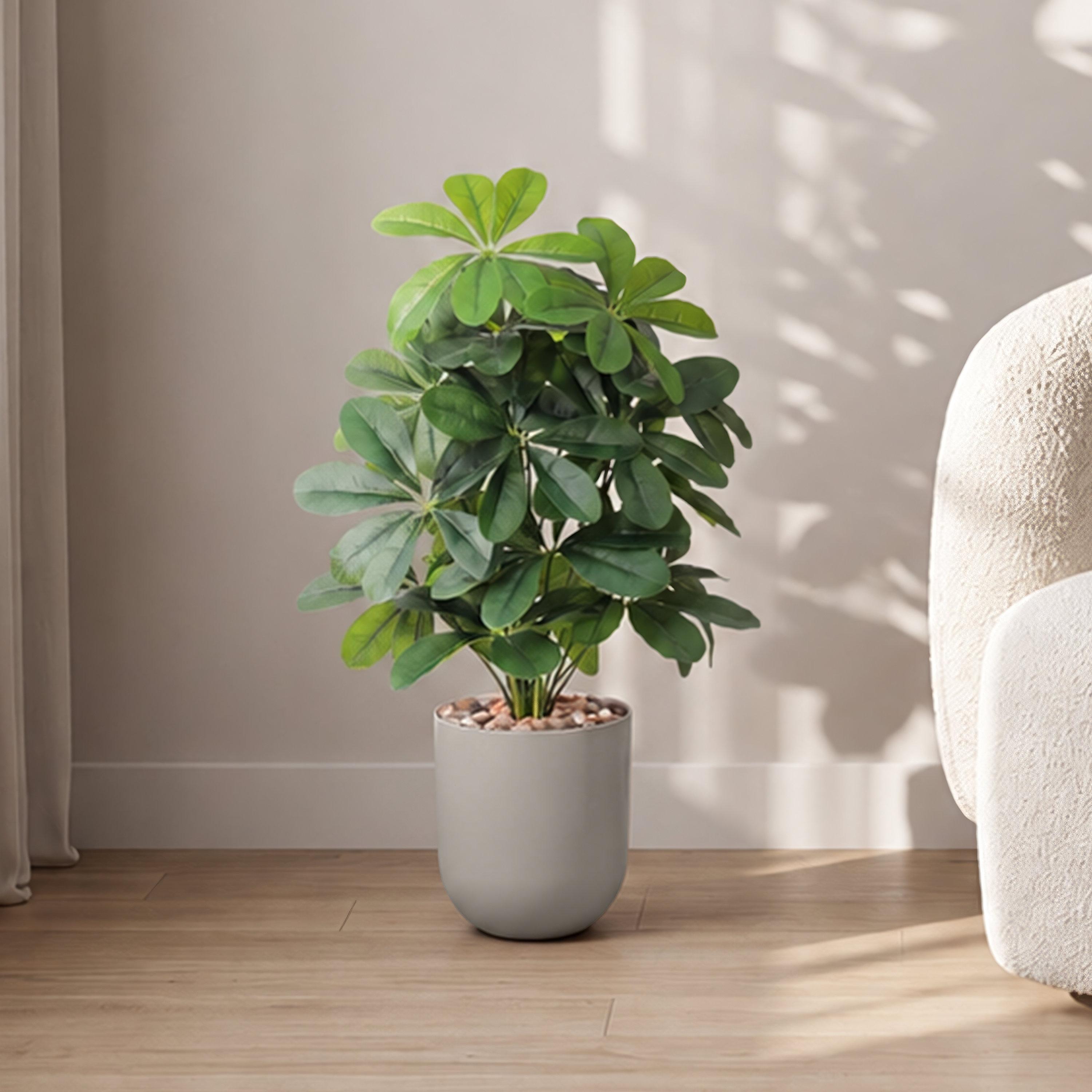 نبتة شيفليرا صناعية بأصيص من ماريا هومز-household-gardenandoutdoor-artificialflowersandplants-flowers-image-1