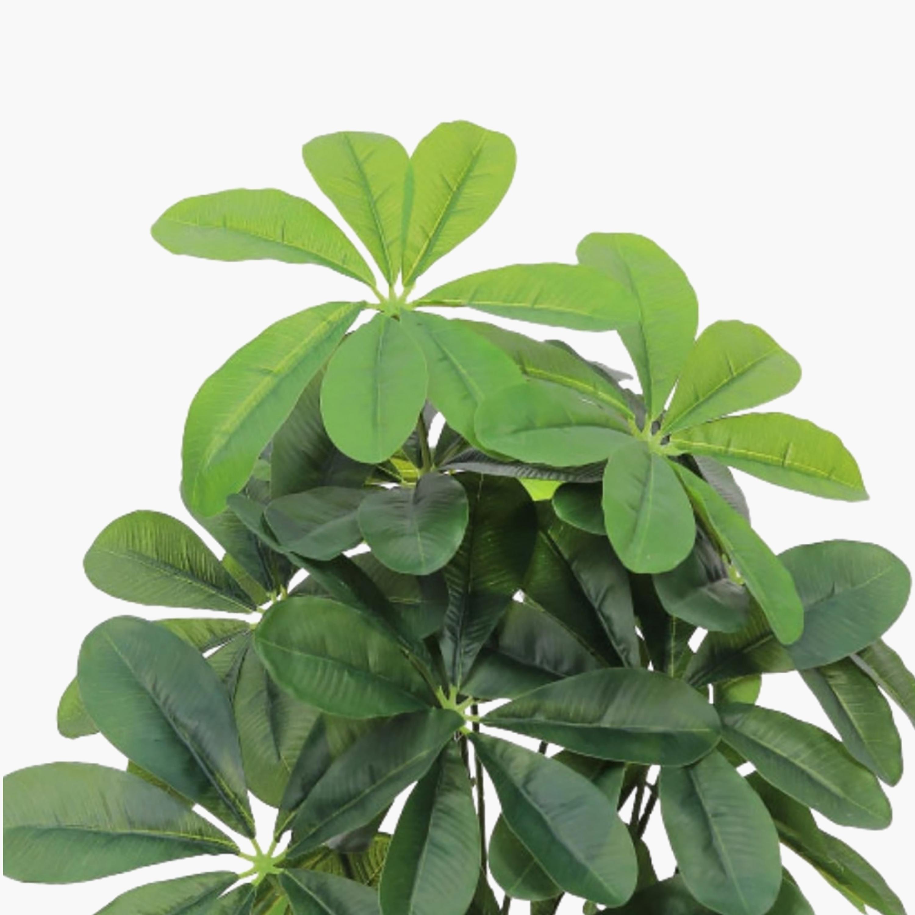 نبتة شيفليرا صناعية بأصيص من ماريا هومز-household-gardenandoutdoor-artificialflowersandplants-flowers-image-3