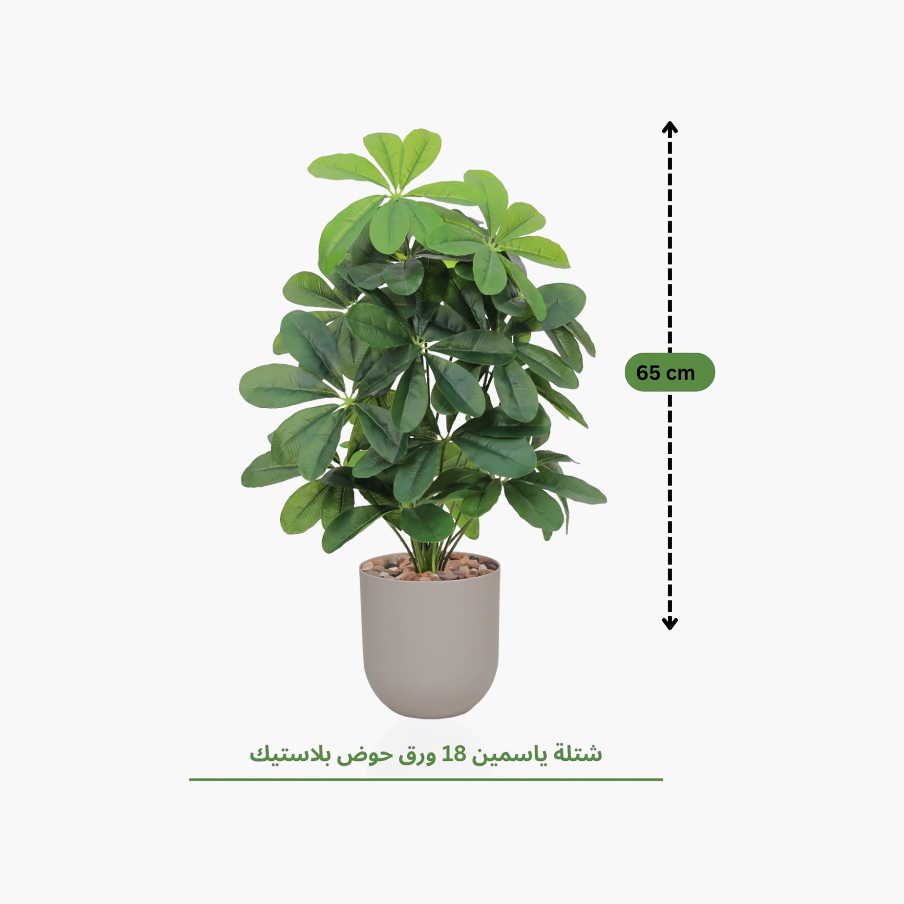 نبتة شيفليرا صناعية بأصيص من ماريا هومز-household-gardenandoutdoor-artificialflowersandplants-flowers-image-4