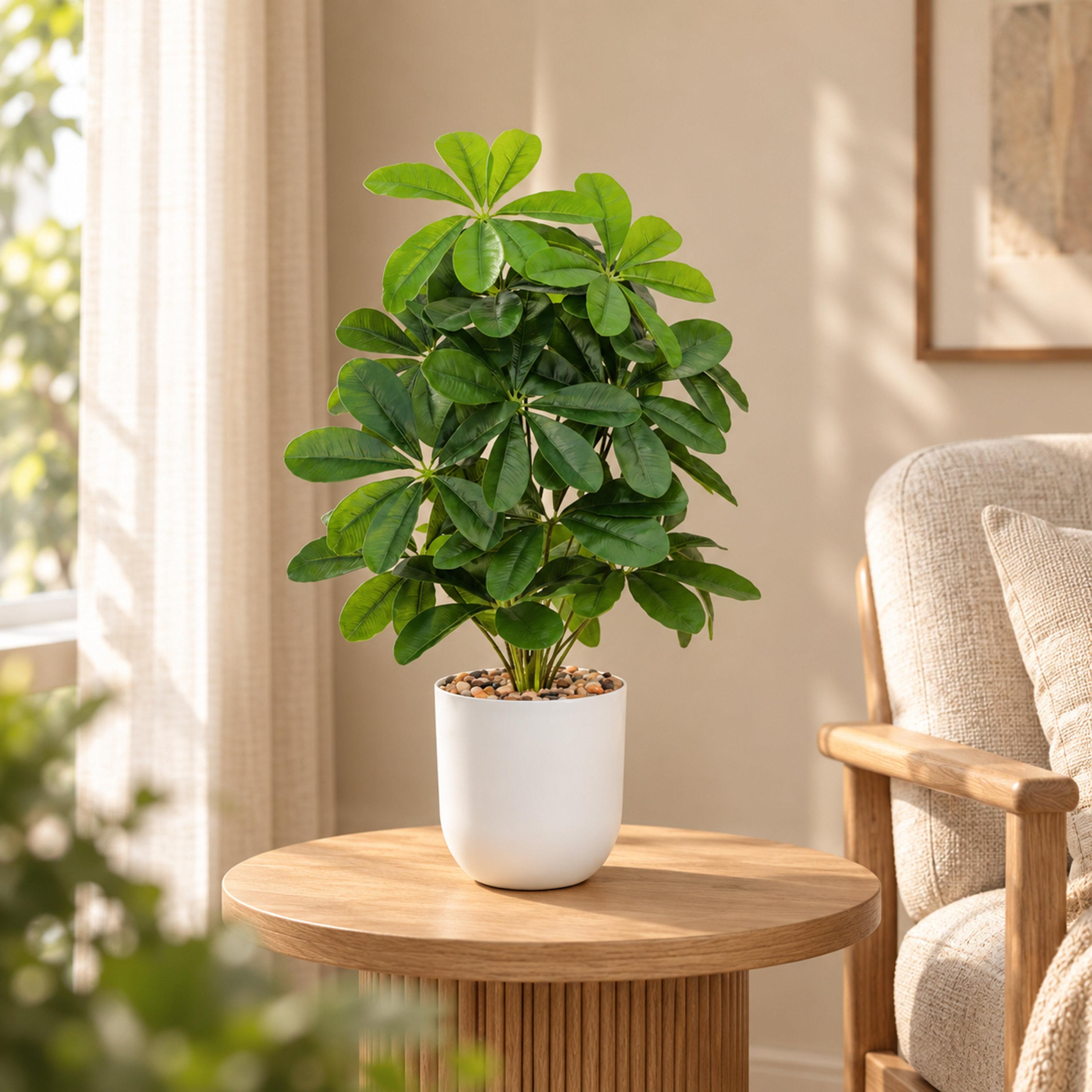 نبتة شيفليرا صناعية بأصيص من ماريا هومز-household-gardenandoutdoor-artificialflowersandplants-flowers-image-1
