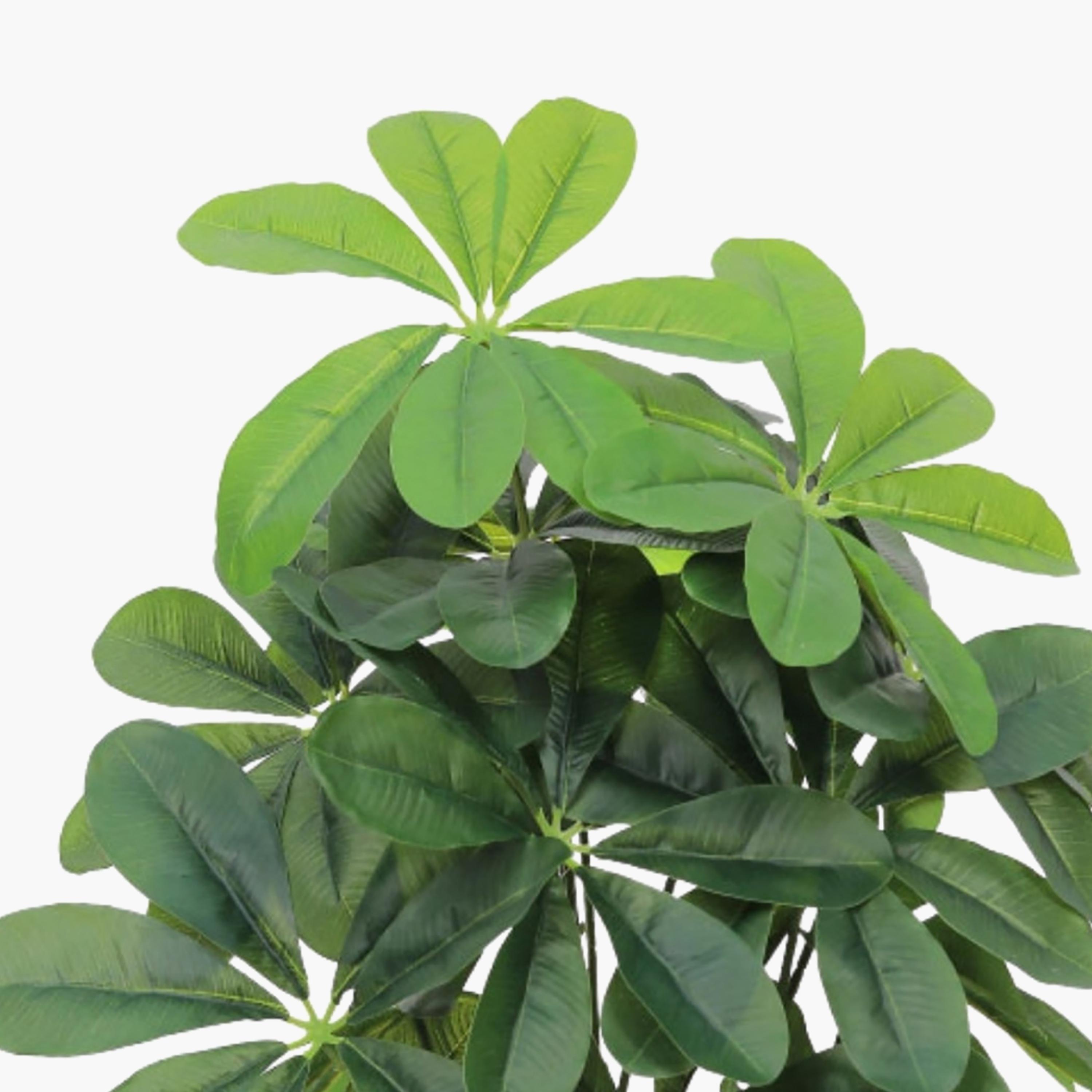 نبتة شيفليرا صناعية بأصيص من ماريا هومز-household-gardenandoutdoor-artificialflowersandplants-flowers-image-3