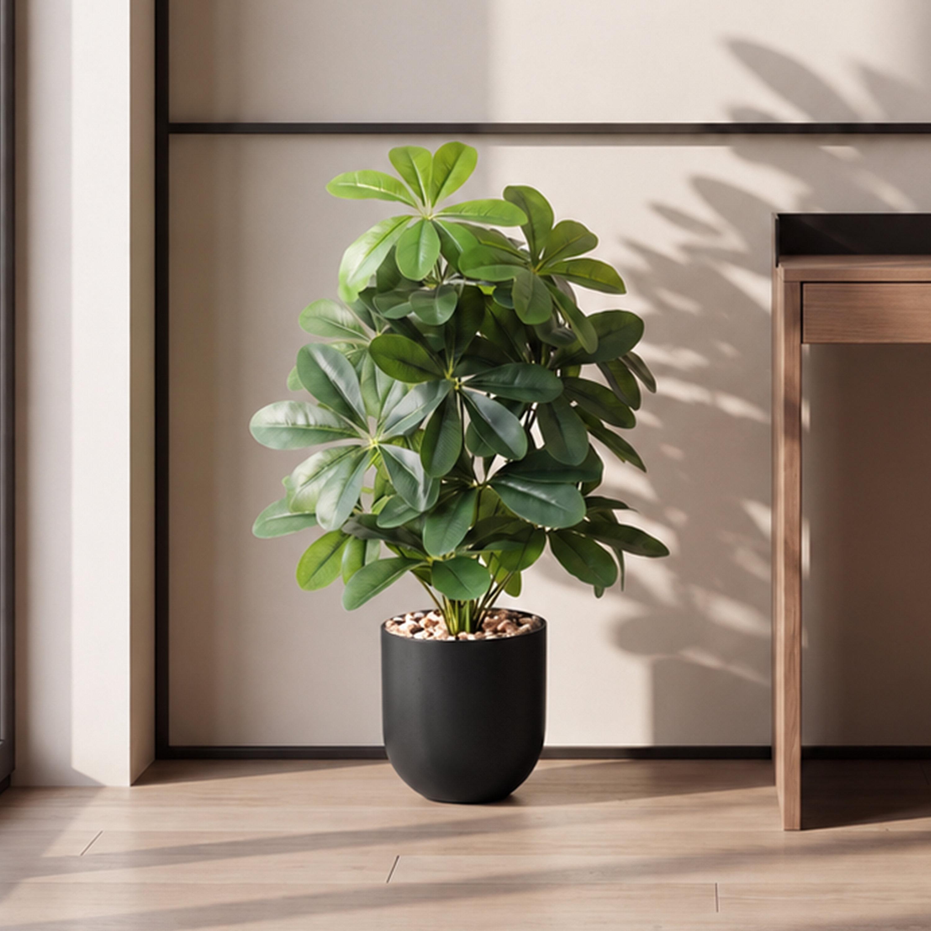 نبتة شيفليرا صناعية بأصيص من ماريا هومز-household-gardenandoutdoor-artificialflowersandplants-flowers-image-1