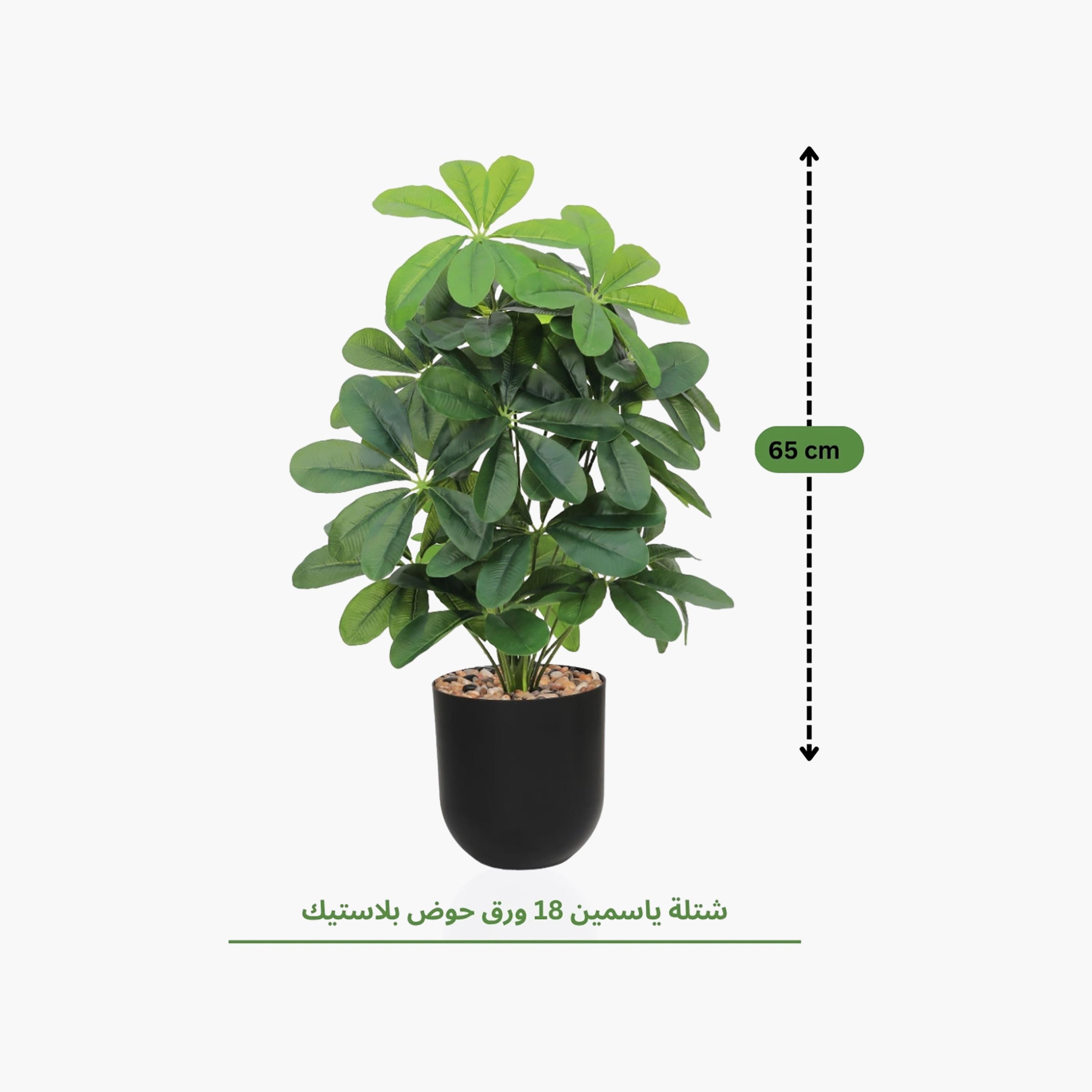 نبتة شيفليرا صناعية بأصيص من ماريا هومز-household-gardenandoutdoor-artificialflowersandplants-flowers-image-4