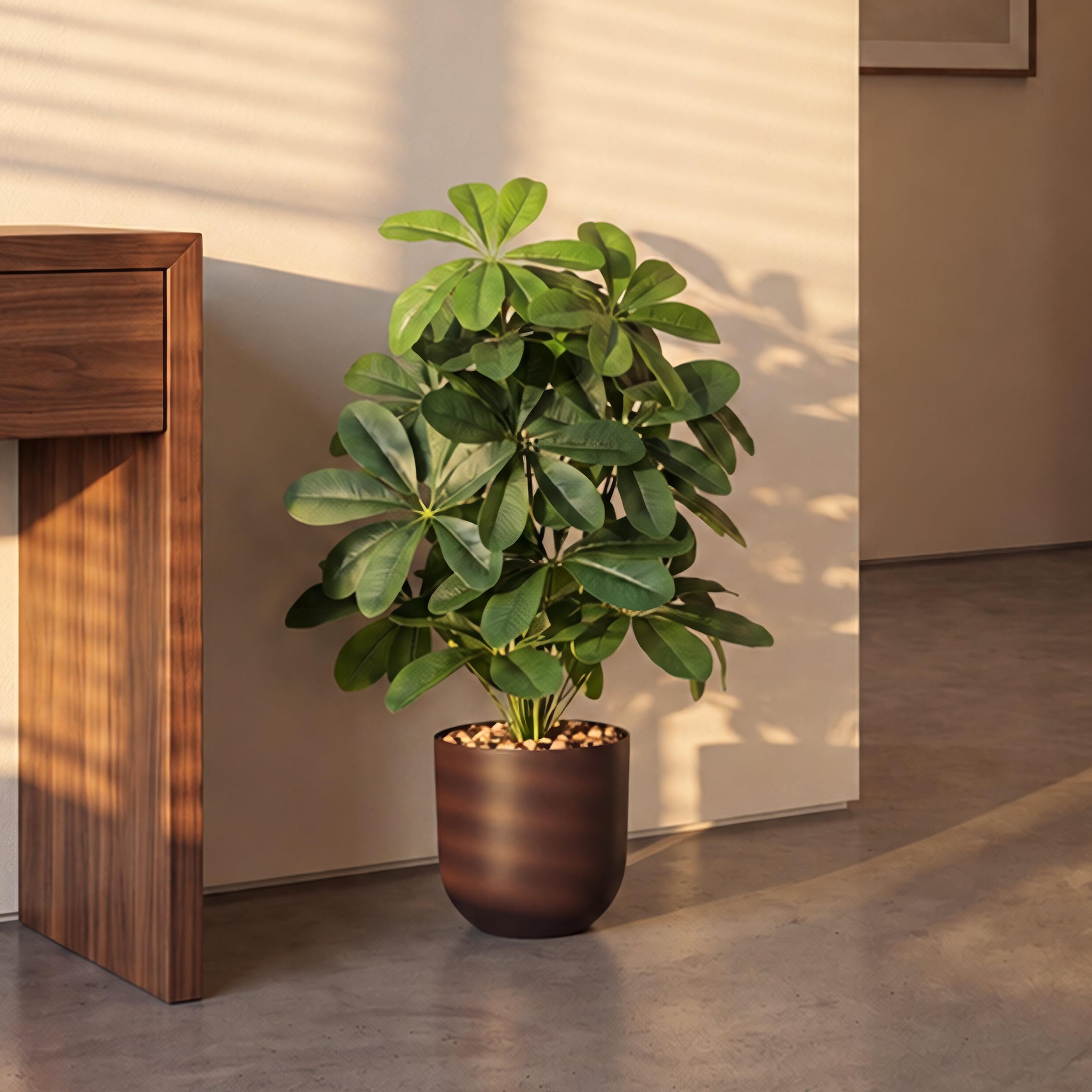 نبتة شيفليرا صناعية بأصيص من ماريا هومز-household-gardenandoutdoor-artificialflowersandplants-flowers-image-1