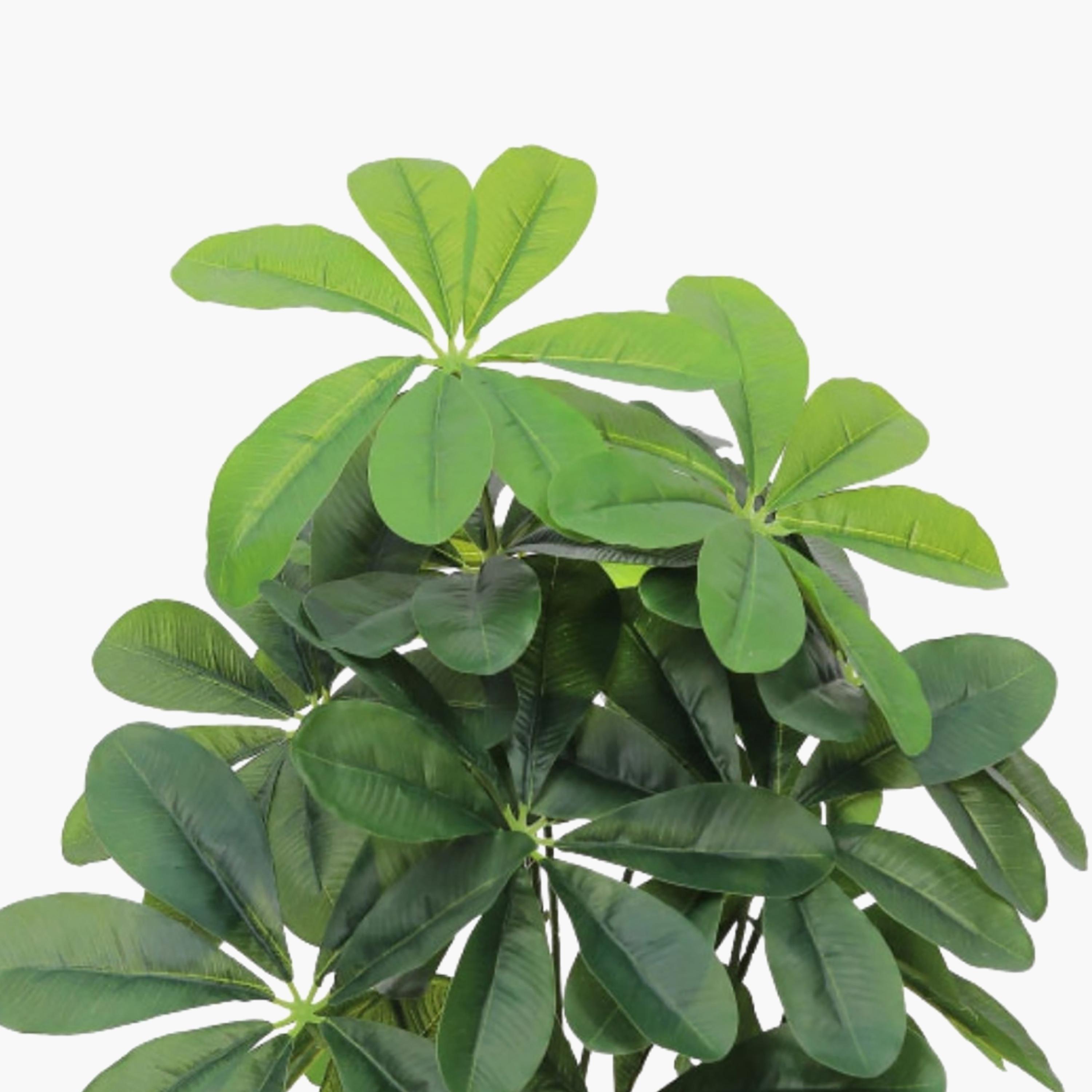 نبتة شيفليرا صناعية بأصيص من ماريا هومز-household-gardenandoutdoor-artificialflowersandplants-flowers-image-3