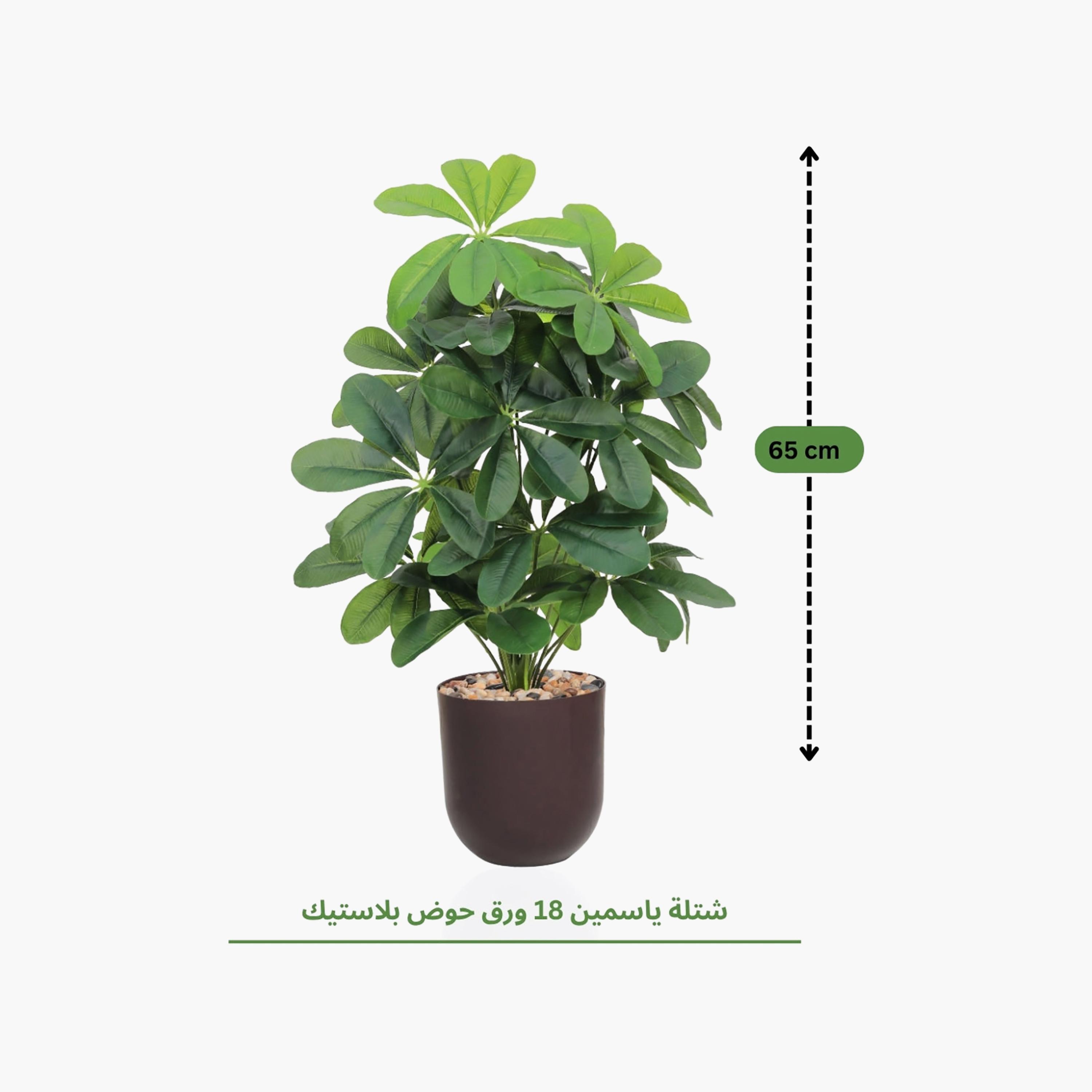 نبتة شيفليرا صناعية بأصيص من ماريا هومز-household-gardenandoutdoor-artificialflowersandplants-flowers-image-4