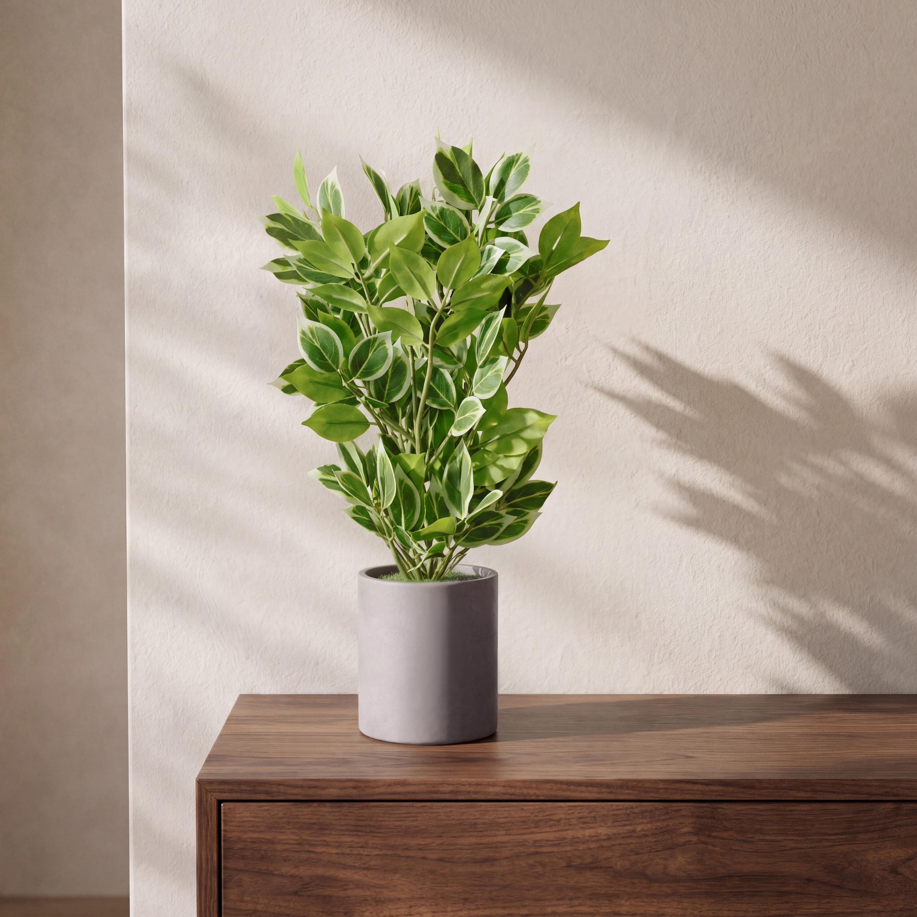 نبات أوراق صناعي مع أصيص سيراميك من ماريا هومز-household-gardenandoutdoor-artificialflowersandplants-flowers-image-1