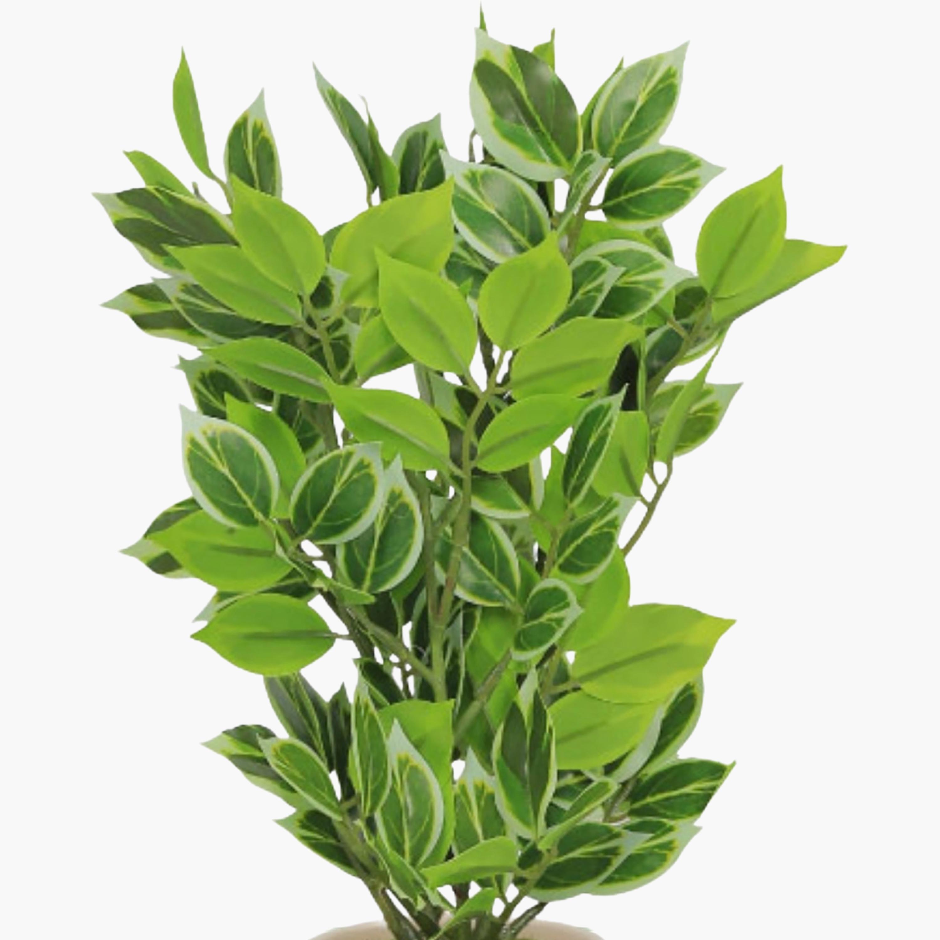 نبات أوراق صناعي مع أصيص سيراميك من ماريا هومز-household-gardenandoutdoor-artificialflowersandplants-flowers-image-3