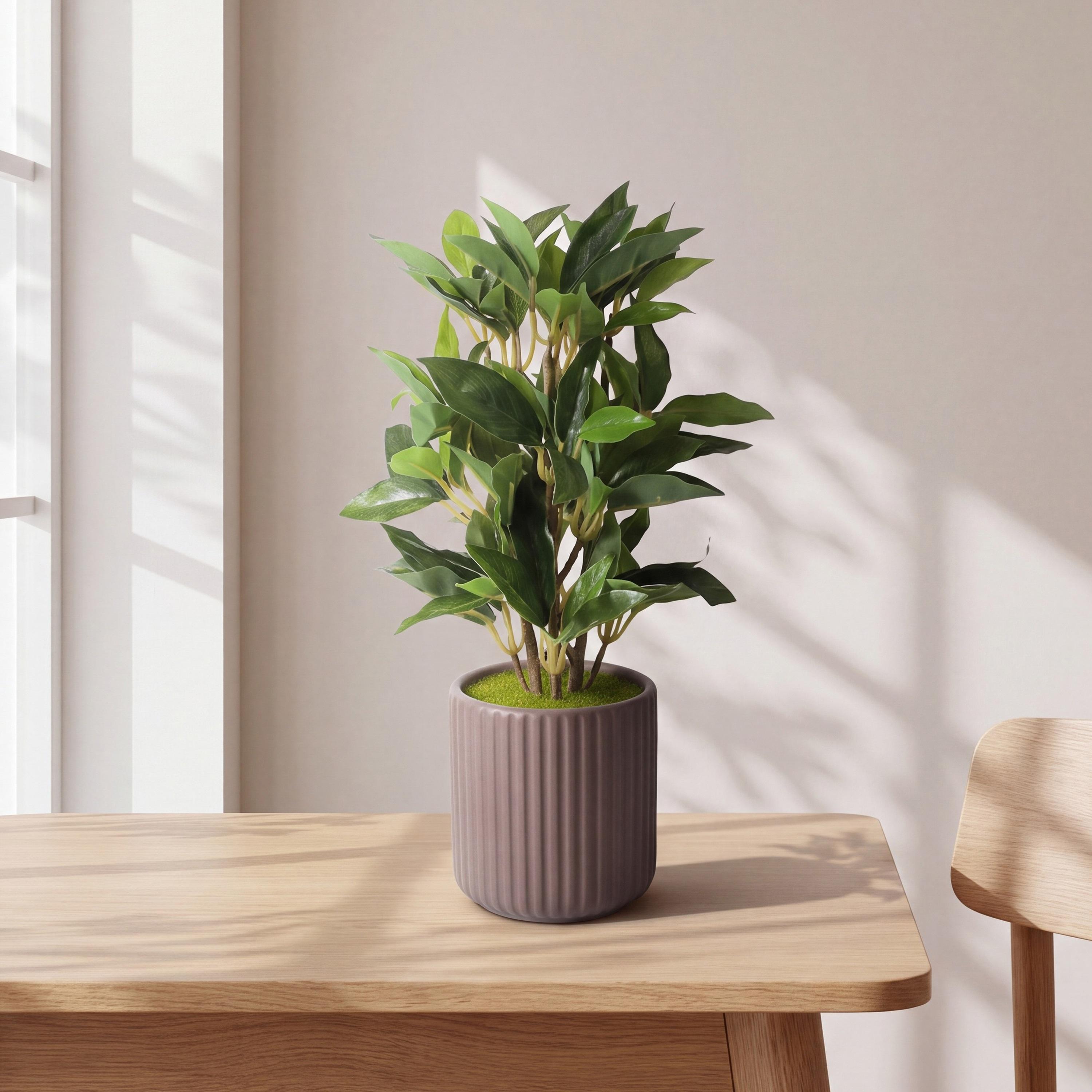 Maria Homes Artificial Ficus Plant with Ceramic Pot-household-gardenandoutdoor-artificialflowersandplants-flowers-image-1