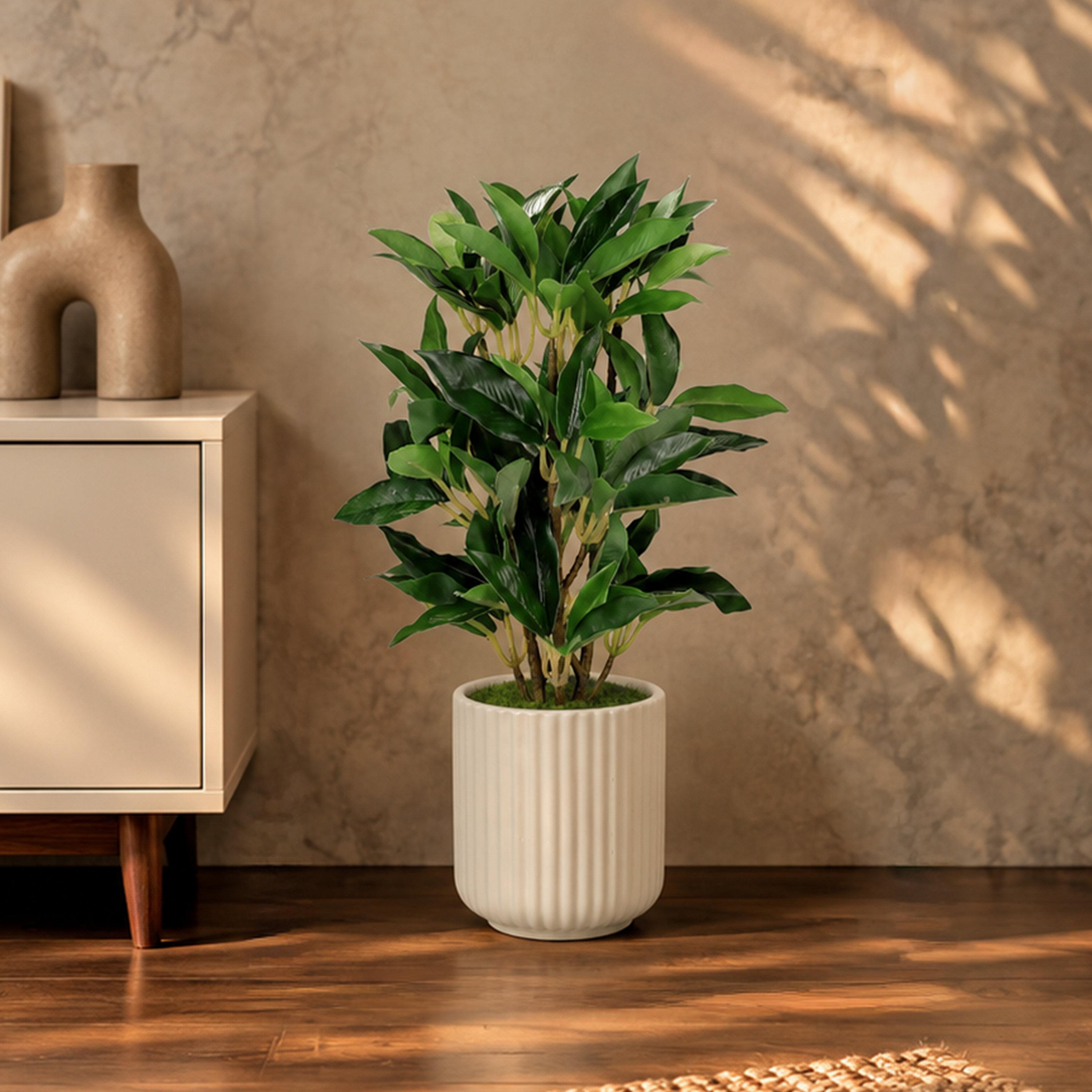 نبتة فيكس صناعية مع وعاء سيراميك من ماريا هومز-household-gardenandoutdoor-artificialflowersandplants-flowers-image-1