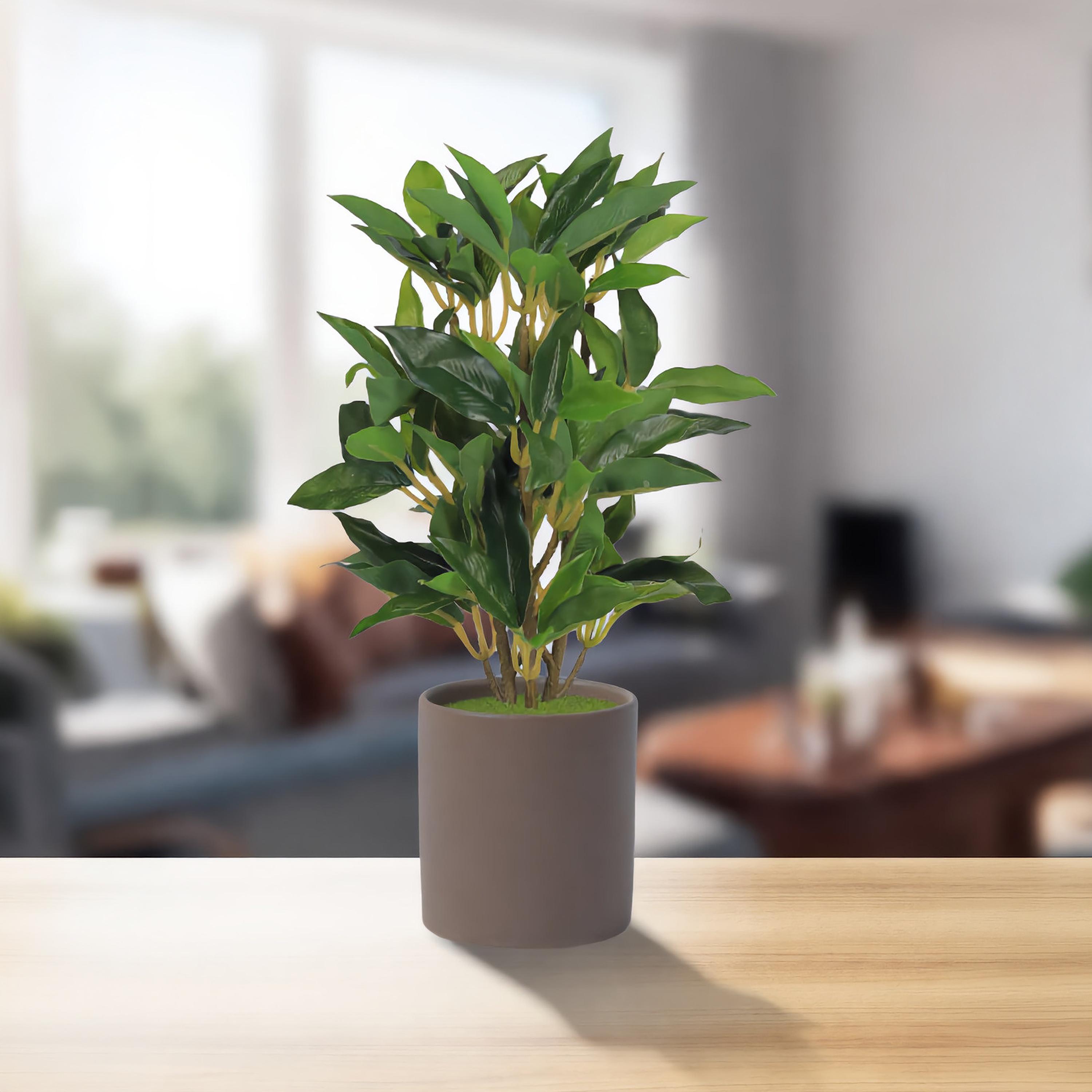 نبات أوراق صناعي مع أصيص سيراميك من ماريا هومز-household-gardenandoutdoor-artificialflowersandplants-flowers-image-1