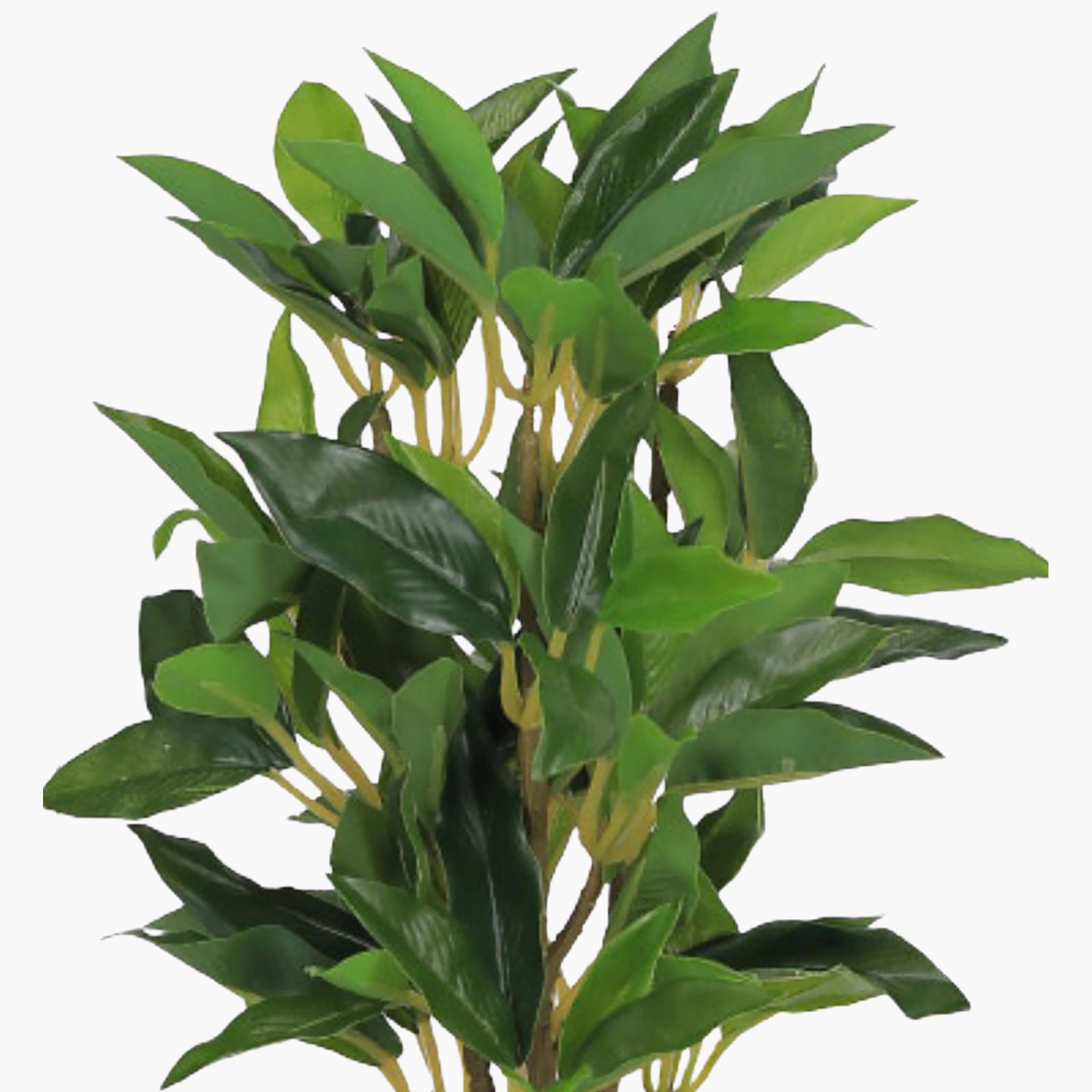 نبتة فيكس صناعية بني مع وعاء سيراميك من ماريا هومز-household-gardenandoutdoor-artificialflowersandplants-flowers-image-3