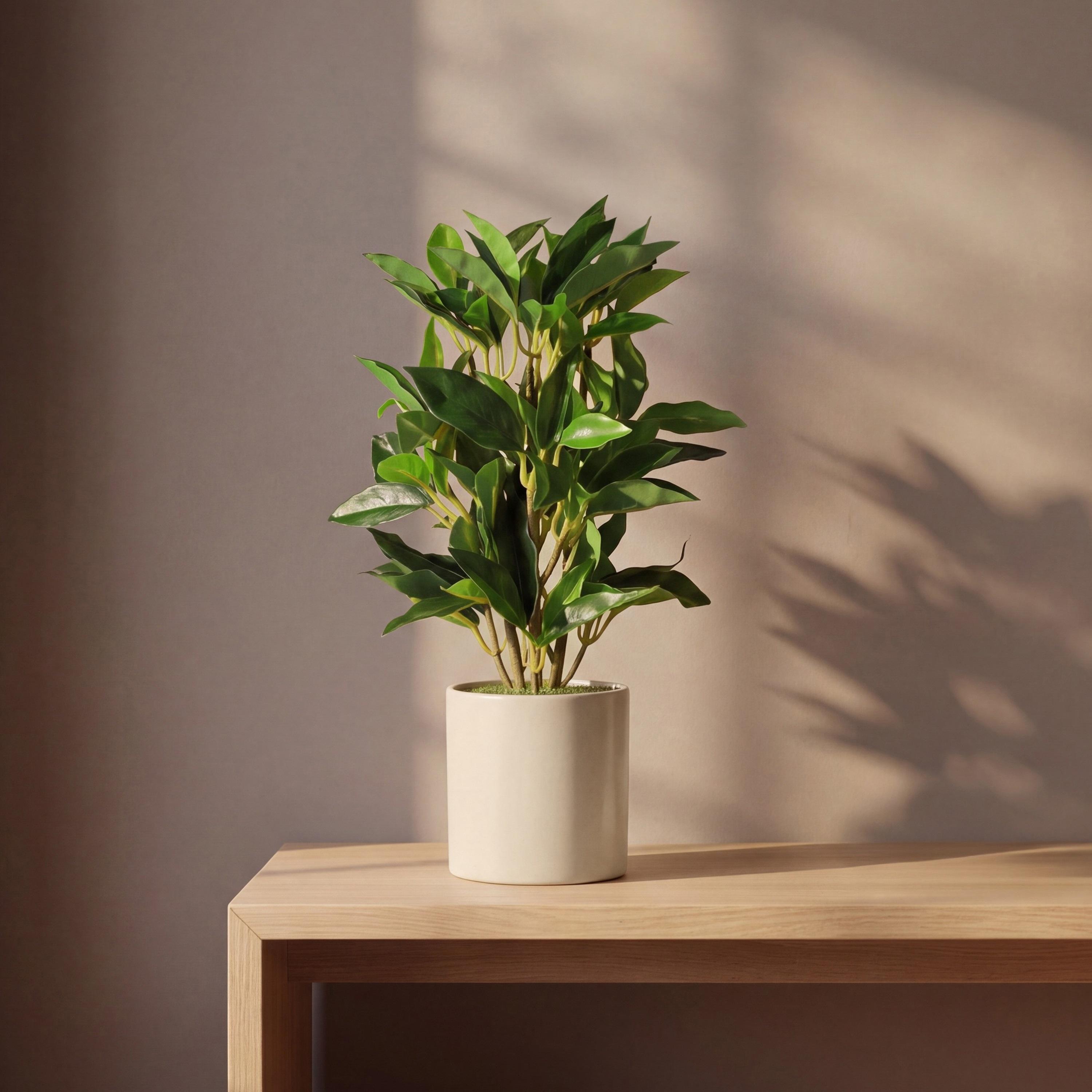نبات فيكس صناعي بيج مع أصيص سيراميك من ماريا هومز-household-gardenandoutdoor-artificialflowersandplants-flowers-image-1